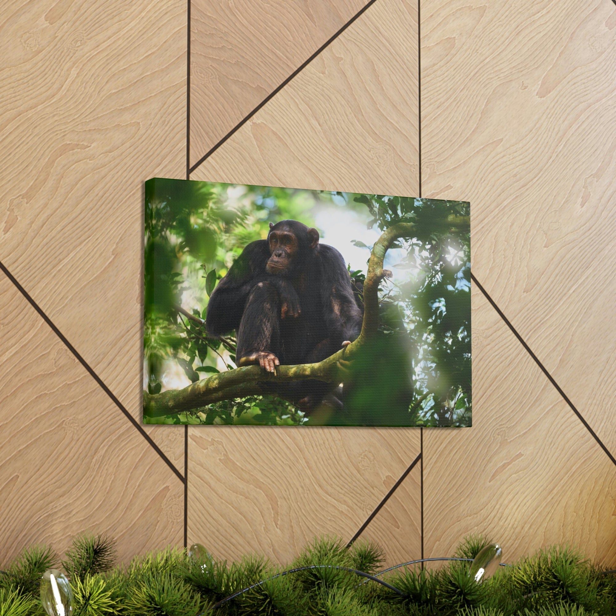 Scripture Walls Majestic Chimpanzee Art Majestic Chimpanzee Print Animal Wall Art Wildlife Canvas Prints Wall Art Ready to Hang Unframed-Express Your Love Gifts