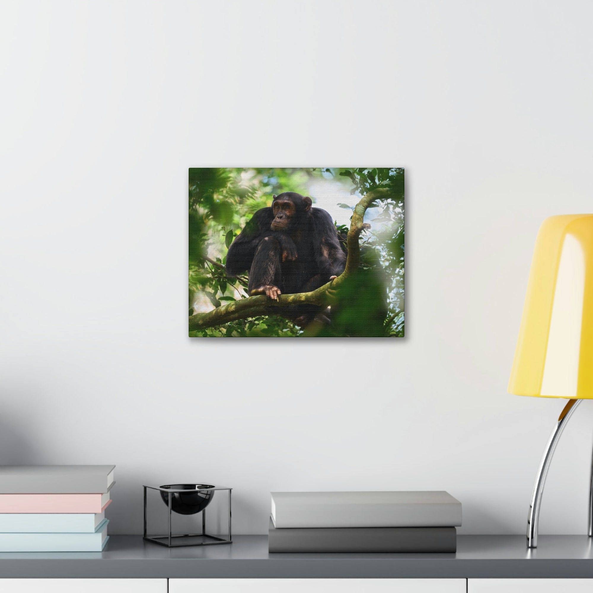 Scripture Walls Majestic Chimpanzee Art Majestic Chimpanzee Print Animal Wall Art Wildlife Canvas Prints Wall Art Ready to Hang Unframed-Express Your Love Gifts