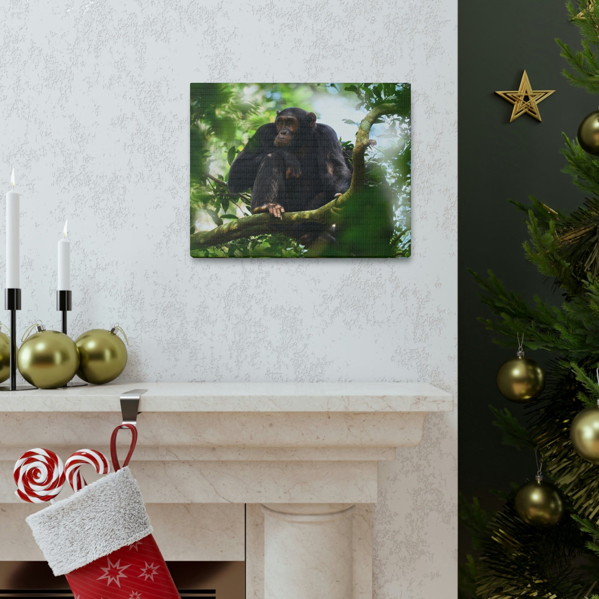 Scripture Walls Majestic Chimpanzee Art Majestic Chimpanzee Print Animal Wall Art Wildlife Canvas Prints Wall Art Ready to Hang Unframed-Express Your Love Gifts