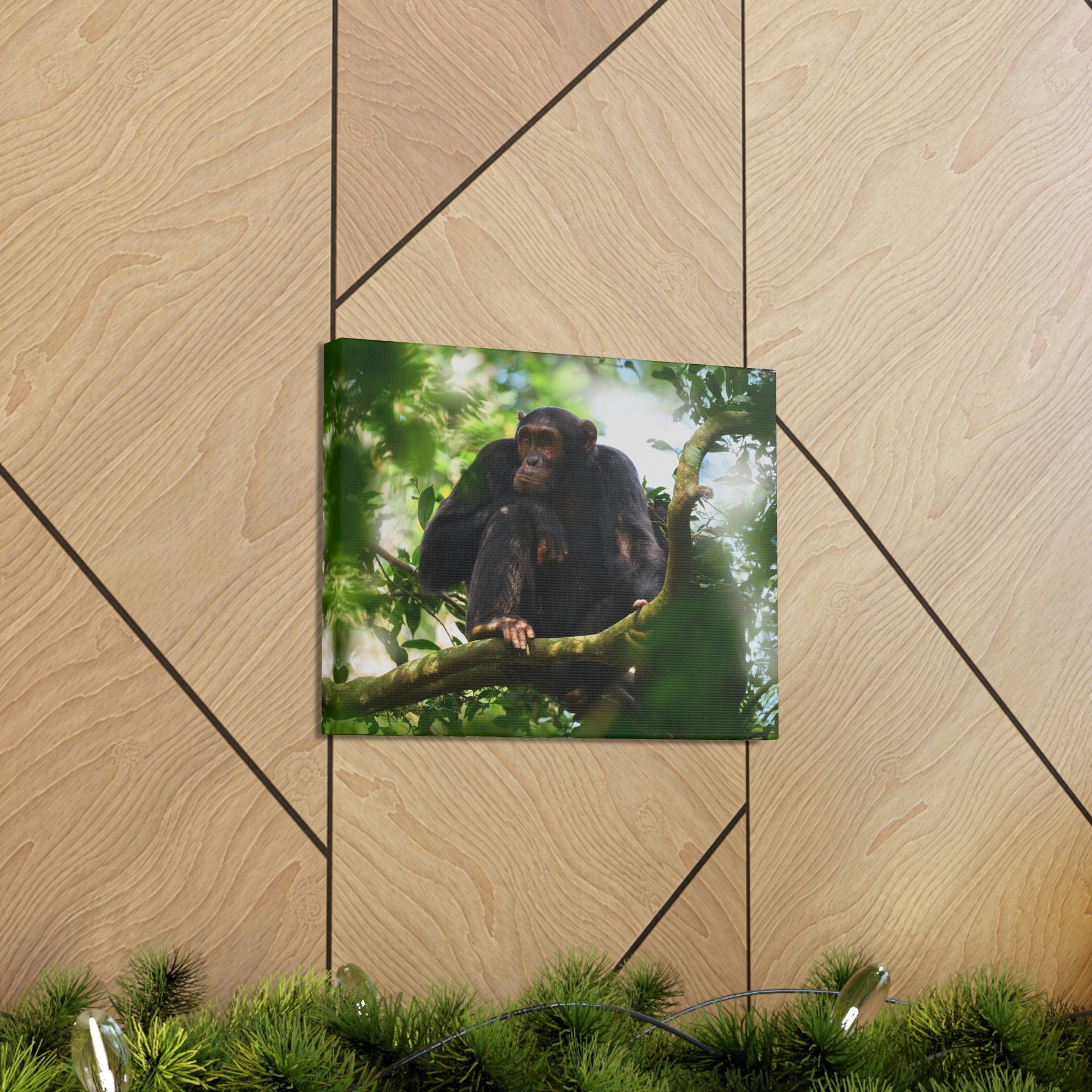 Scripture Walls Majestic Chimpanzee Art Majestic Chimpanzee Print Animal Wall Art Wildlife Canvas Prints Wall Art Ready to Hang Unframed-Express Your Love Gifts