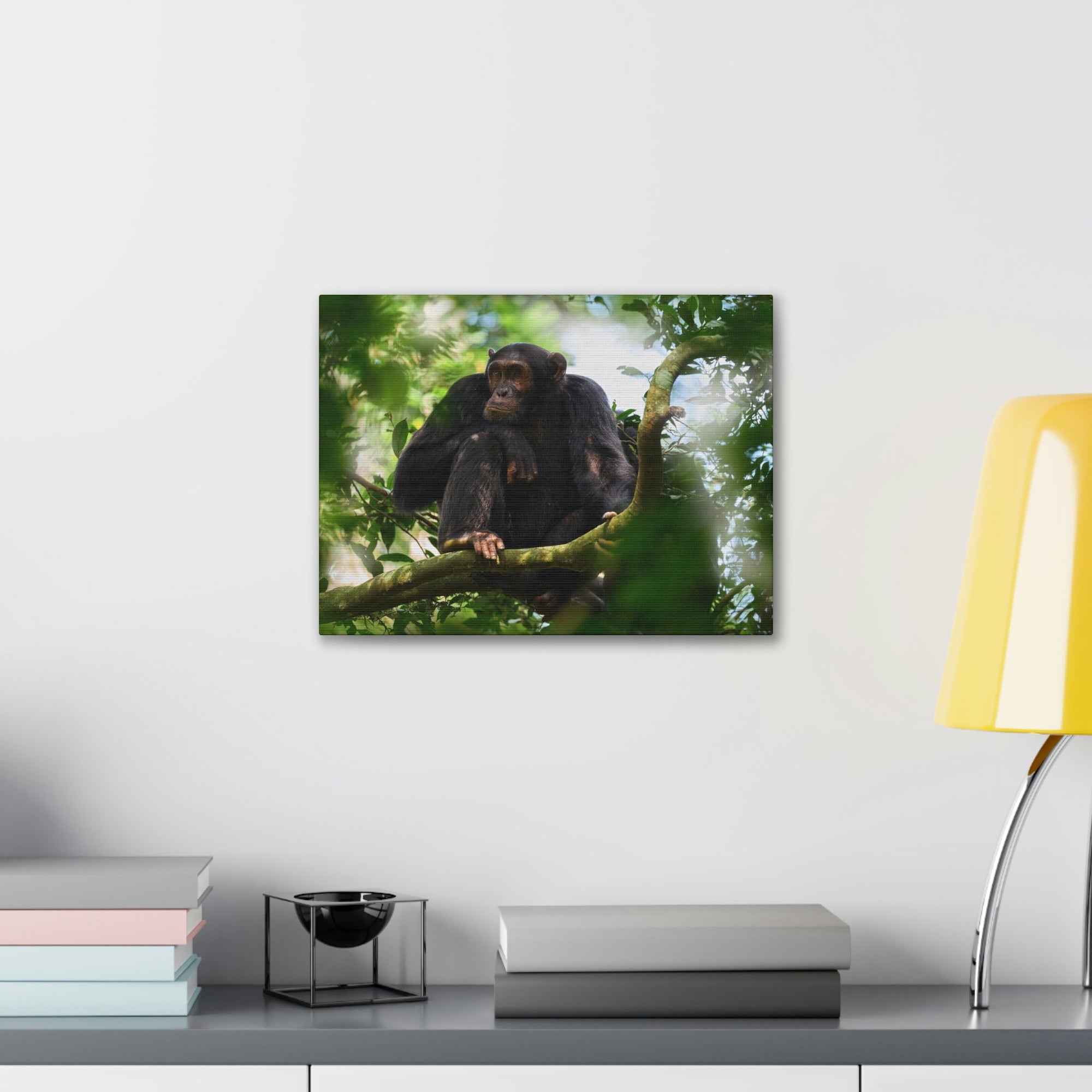 Scripture Walls Majestic Chimpanzee Art Majestic Chimpanzee Print Animal Wall Art Wildlife Canvas Prints Wall Art Ready to Hang Unframed-Express Your Love Gifts