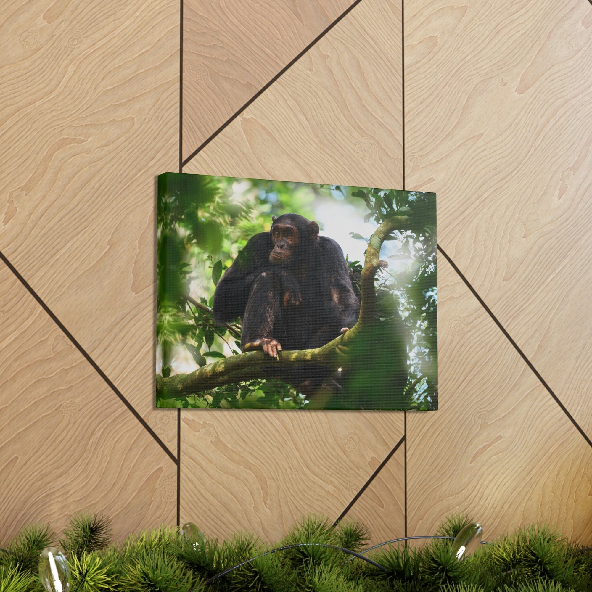 Scripture Walls Majestic Chimpanzee Art Majestic Chimpanzee Print Animal Wall Art Wildlife Canvas Prints Wall Art Ready to Hang Unframed-Express Your Love Gifts