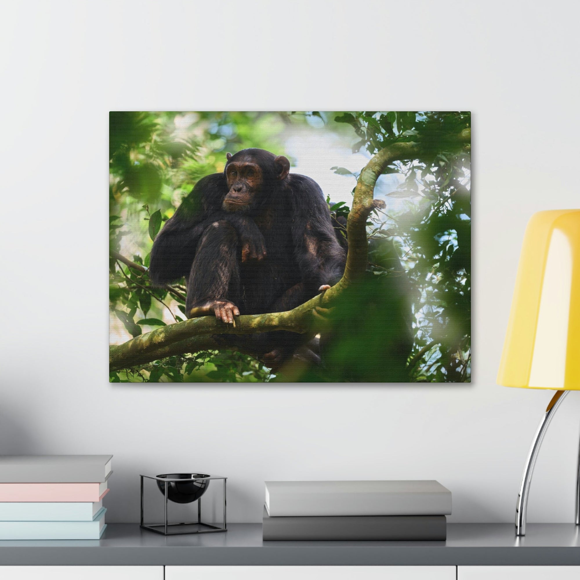 Scripture Walls Majestic Chimpanzee Art Majestic Chimpanzee Print Animal Wall Art Wildlife Canvas Prints Wall Art Ready to Hang Unframed-Express Your Love Gifts