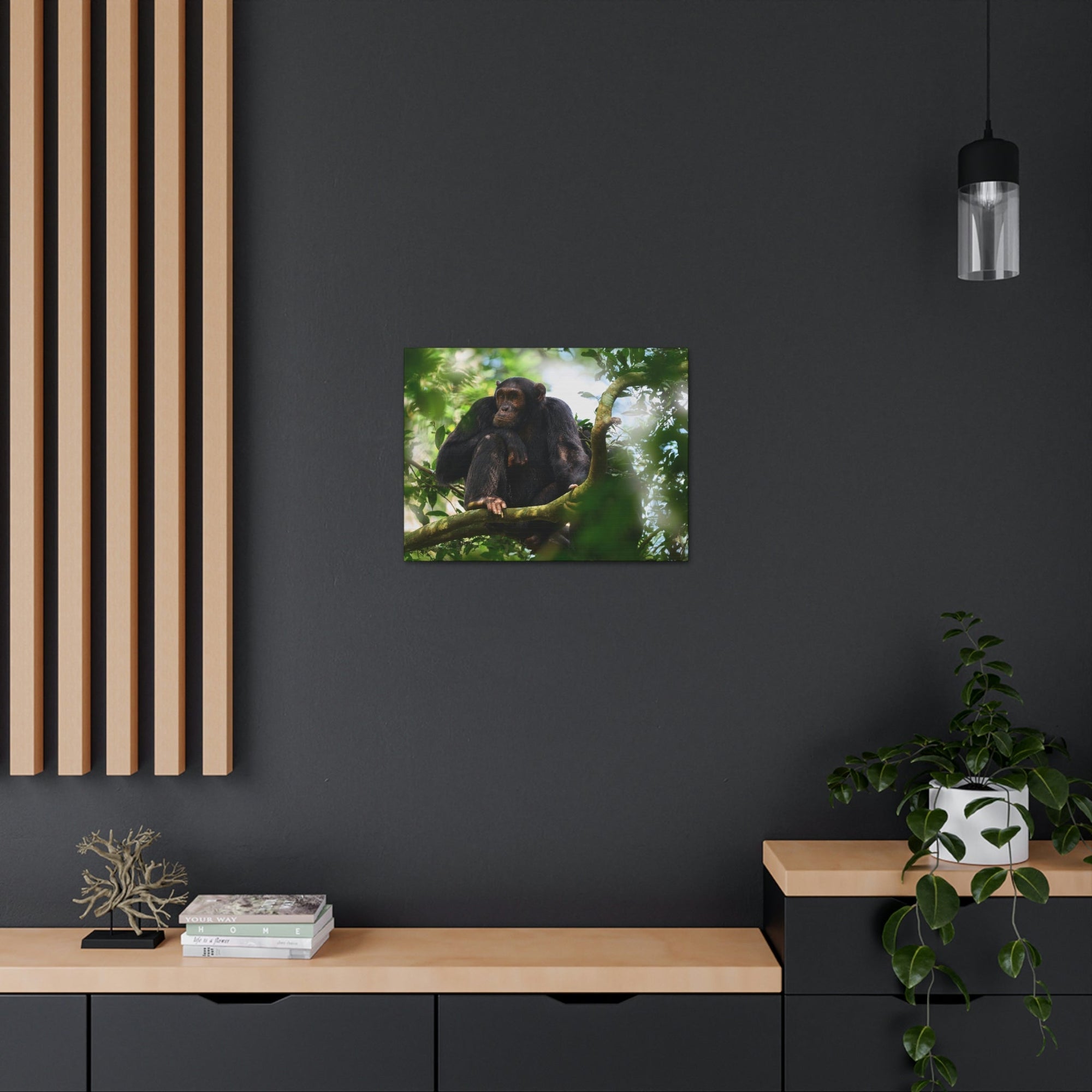 Scripture Walls Majestic Chimpanzee Art Majestic Chimpanzee Print Animal Wall Art Wildlife Canvas Prints Wall Art Ready to Hang Unframed-Express Your Love Gifts