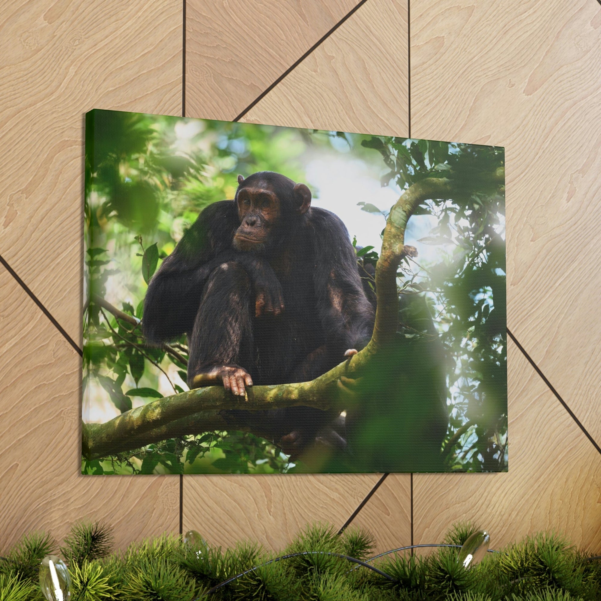 Scripture Walls Majestic Chimpanzee Art Majestic Chimpanzee Print Animal Wall Art Wildlife Canvas Prints Wall Art Ready to Hang Unframed-Express Your Love Gifts