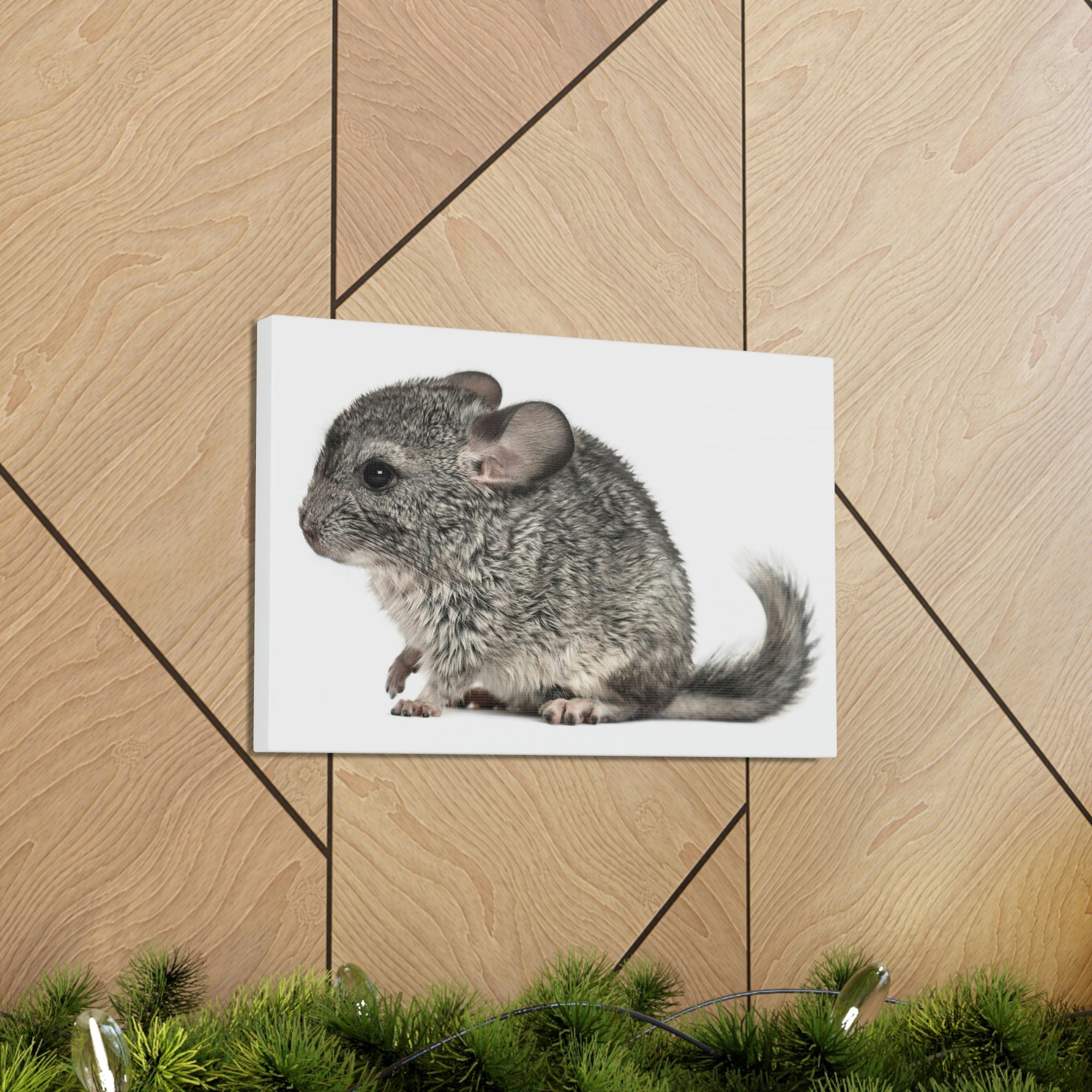 Scripture Walls Majestic Chinchilla Art Majestic Chinchilla Print Animal Wall Art Wildlife Canvas Prints Wall Art Ready to Hang Unframed-Express Your Love Gifts