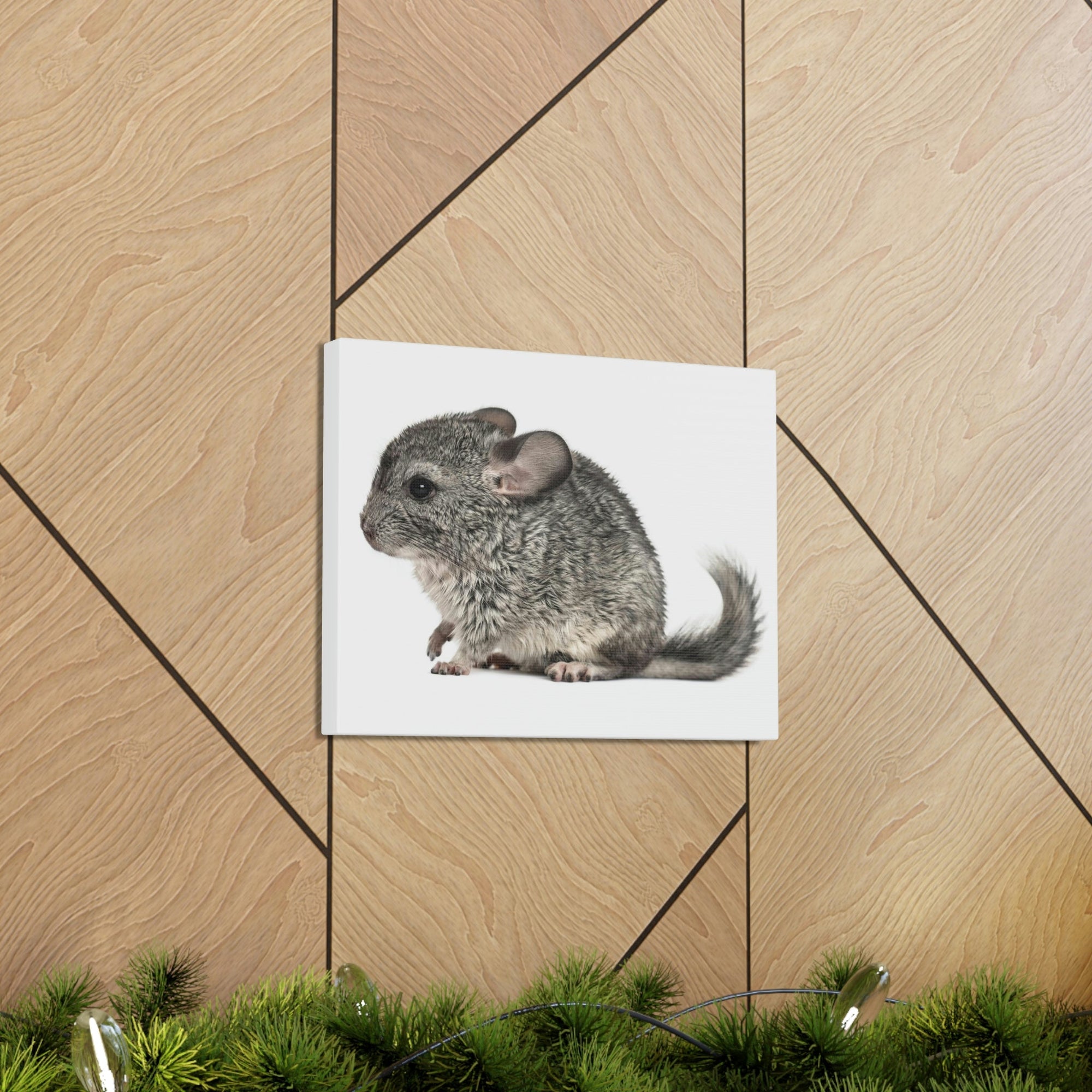 Scripture Walls Majestic Chinchilla Art Majestic Chinchilla Print Animal Wall Art Wildlife Canvas Prints Wall Art Ready to Hang Unframed-Express Your Love Gifts