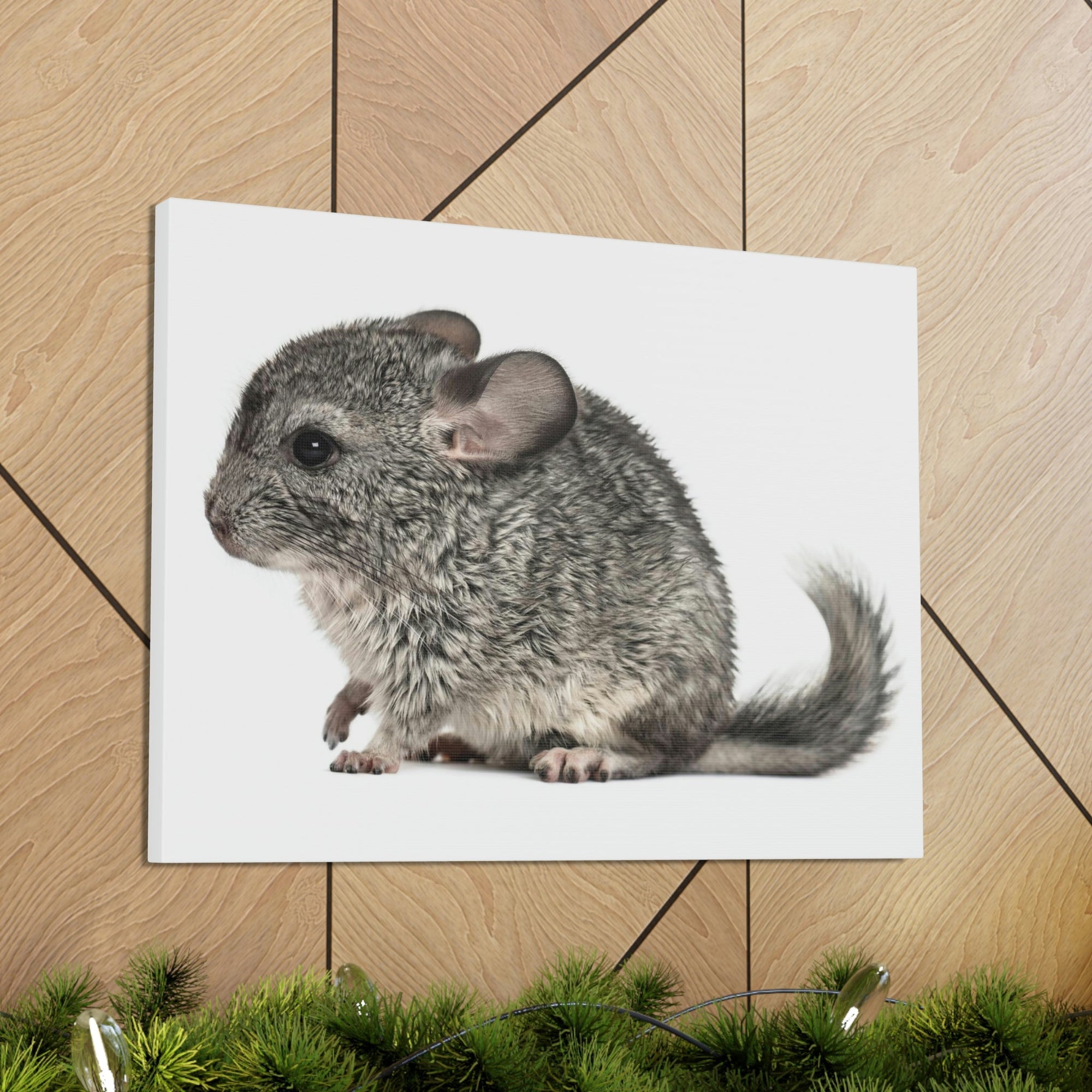 Scripture Walls Majestic Chinchilla Art Majestic Chinchilla Print Animal Wall Art Wildlife Canvas Prints Wall Art Ready to Hang Unframed-Express Your Love Gifts