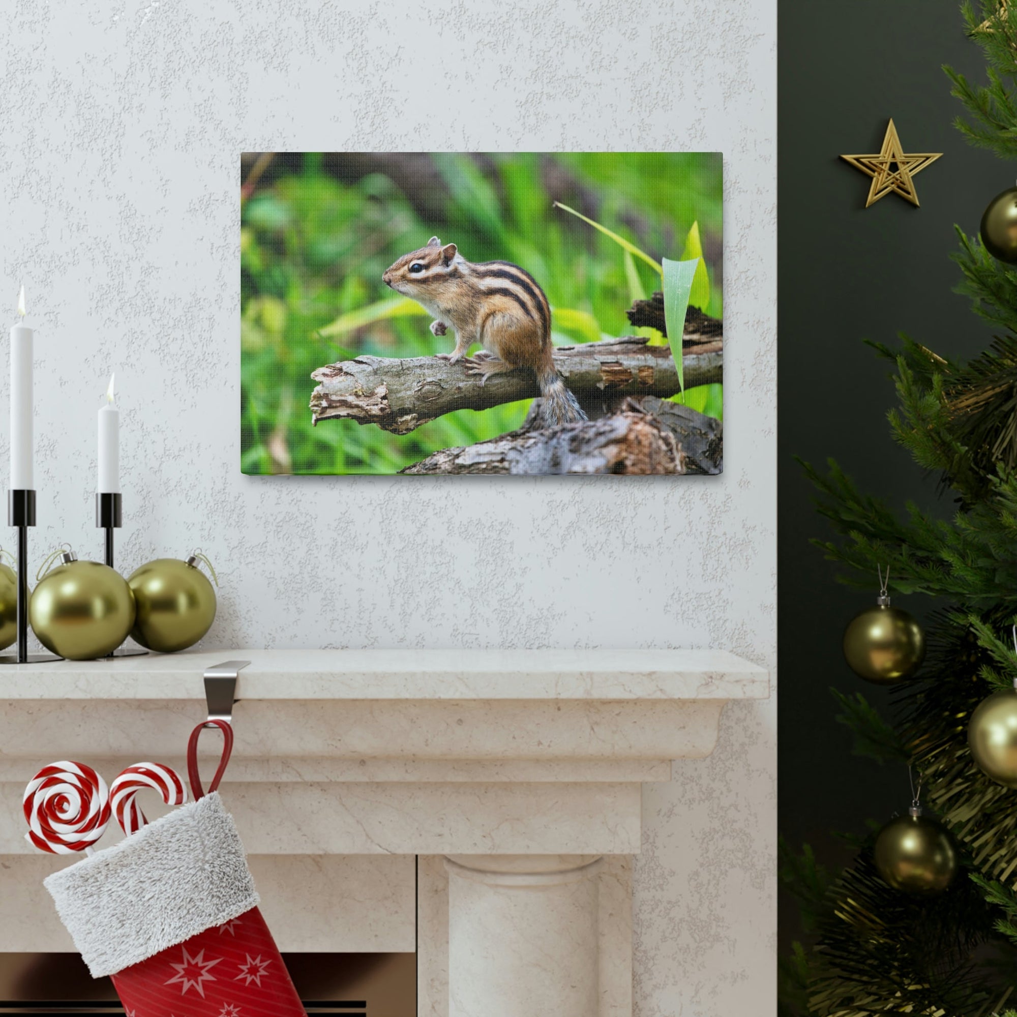 Scripture Walls Majestic Chipmunk Art Majestic Chipmunk Print Animal Wall Art Wildlife Canvas Prints Wall Art Ready to Hang Unframed-Express Your Love Gifts