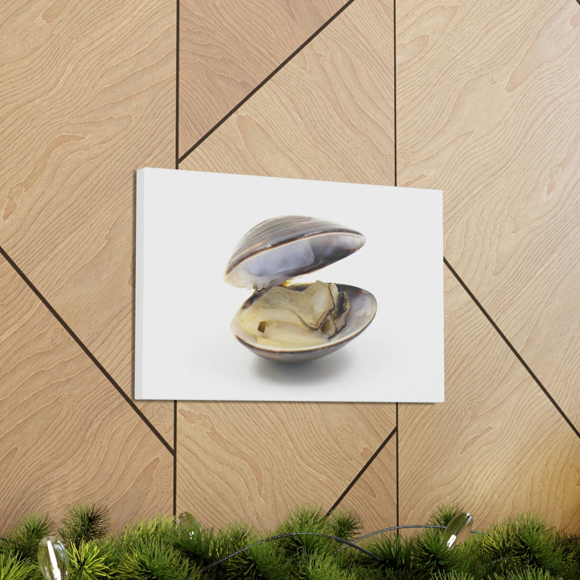 Scripture Walls Majestic Clam Art Majestic Clam Print Animal Wall Art Wildlife Canvas Prints Wall Art Ready to Hang Unframed-Express Your Love Gifts