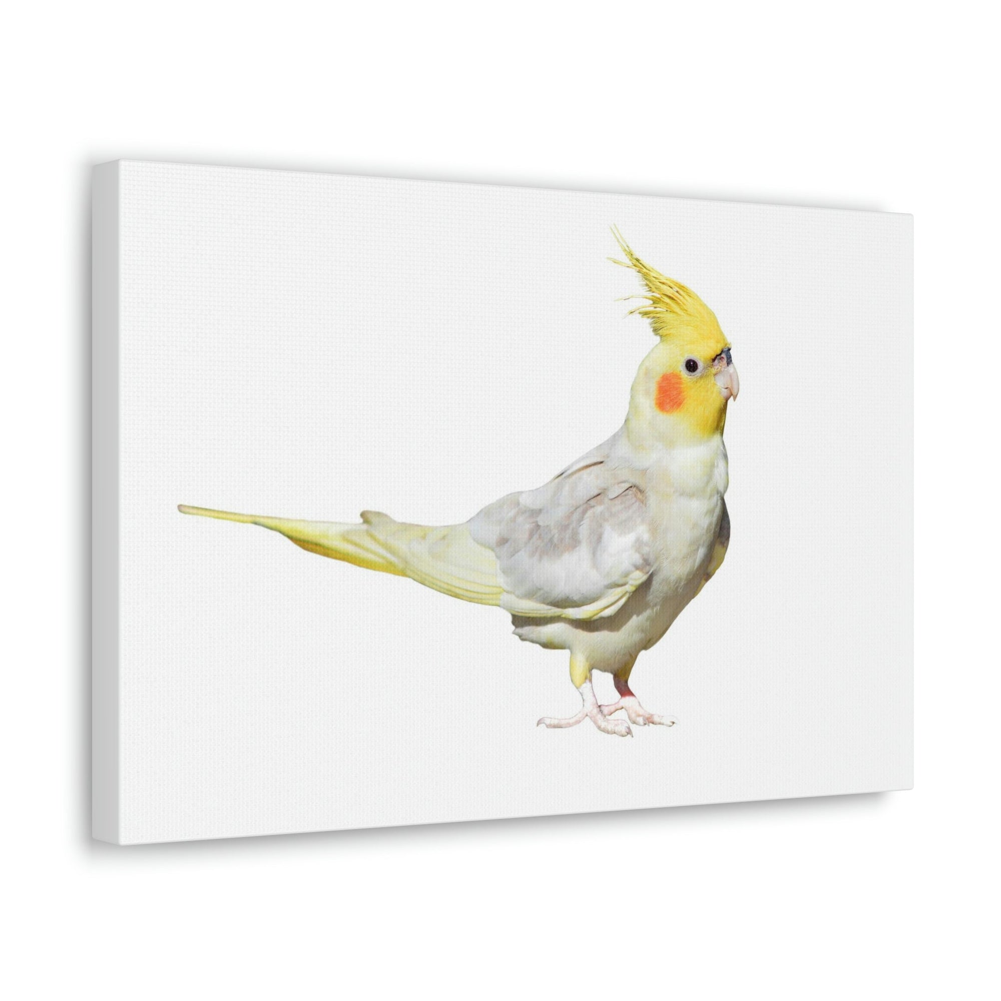 Scripture Walls Majestic Cockatiel Art Majestic Cockatiel Print Animal Wall Art Wildlife Canvas Prints Wall Art Ready to Hang Unframed-Express Your Love Gifts