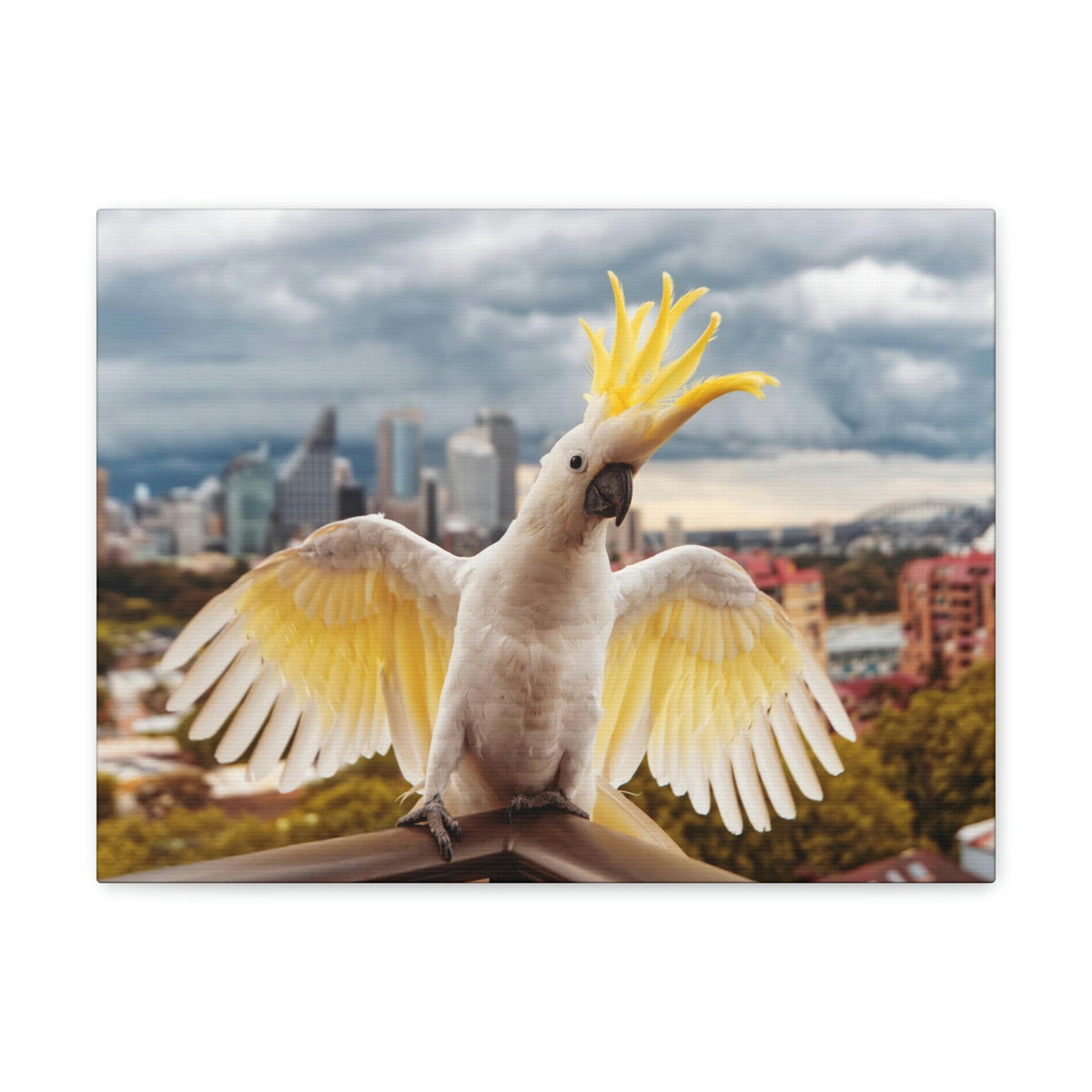 Scripture Walls Majestic Cockatoo Art Majestic Cockatoo Print Animal Wall Art Wildlife Canvas Prints Wall Art Ready to Hang Unframed-Express Your Love Gifts