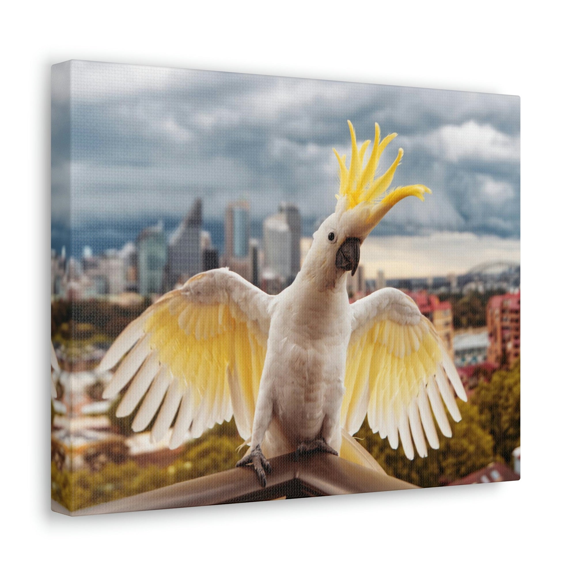 Scripture Walls Majestic Cockatoo Art Majestic Cockatoo Print Animal Wall Art Wildlife Canvas Prints Wall Art Ready to Hang Unframed-Express Your Love Gifts