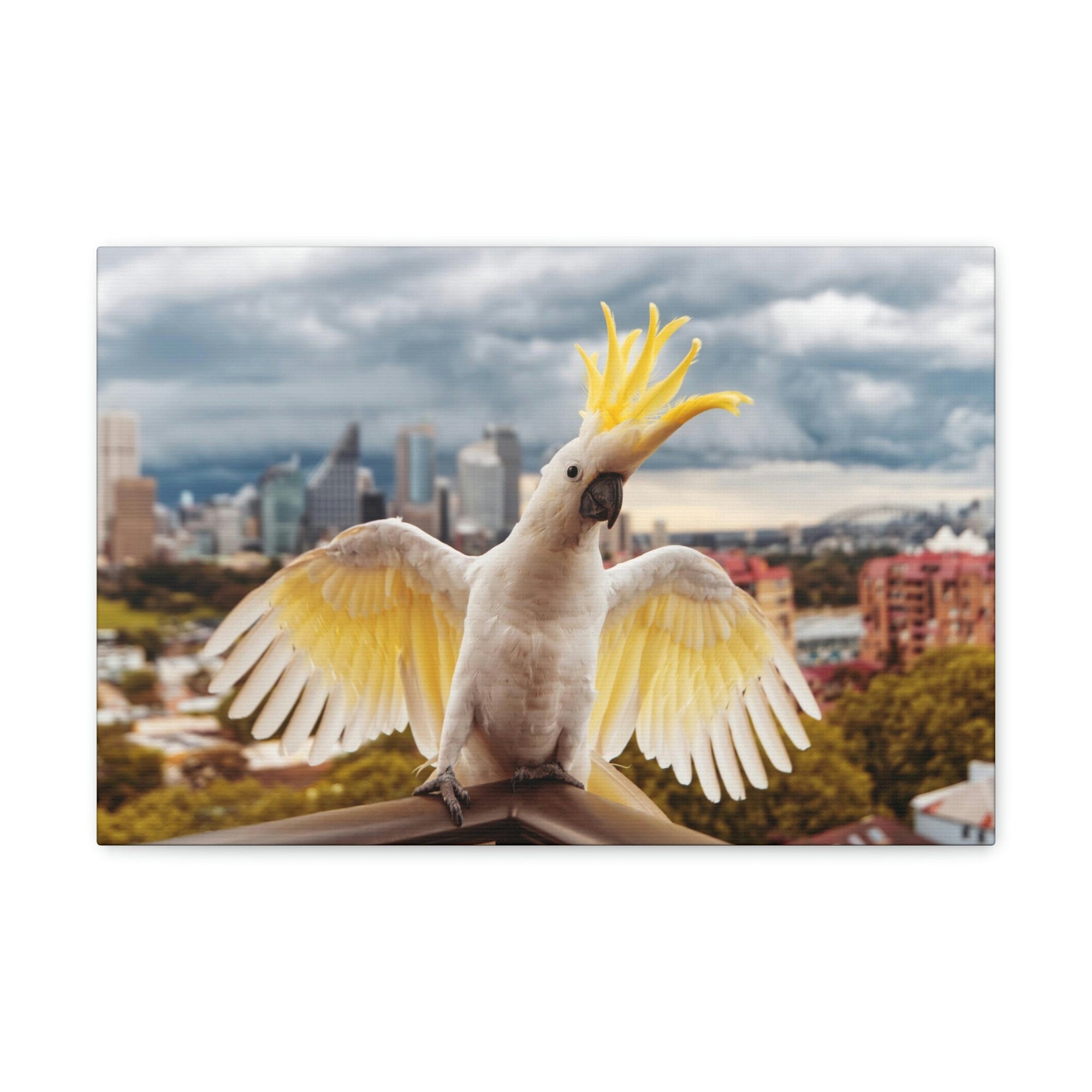 Scripture Walls Majestic Cockatoo Art Majestic Cockatoo Print Animal Wall Art Wildlife Canvas Prints Wall Art Ready to Hang Unframed-Express Your Love Gifts