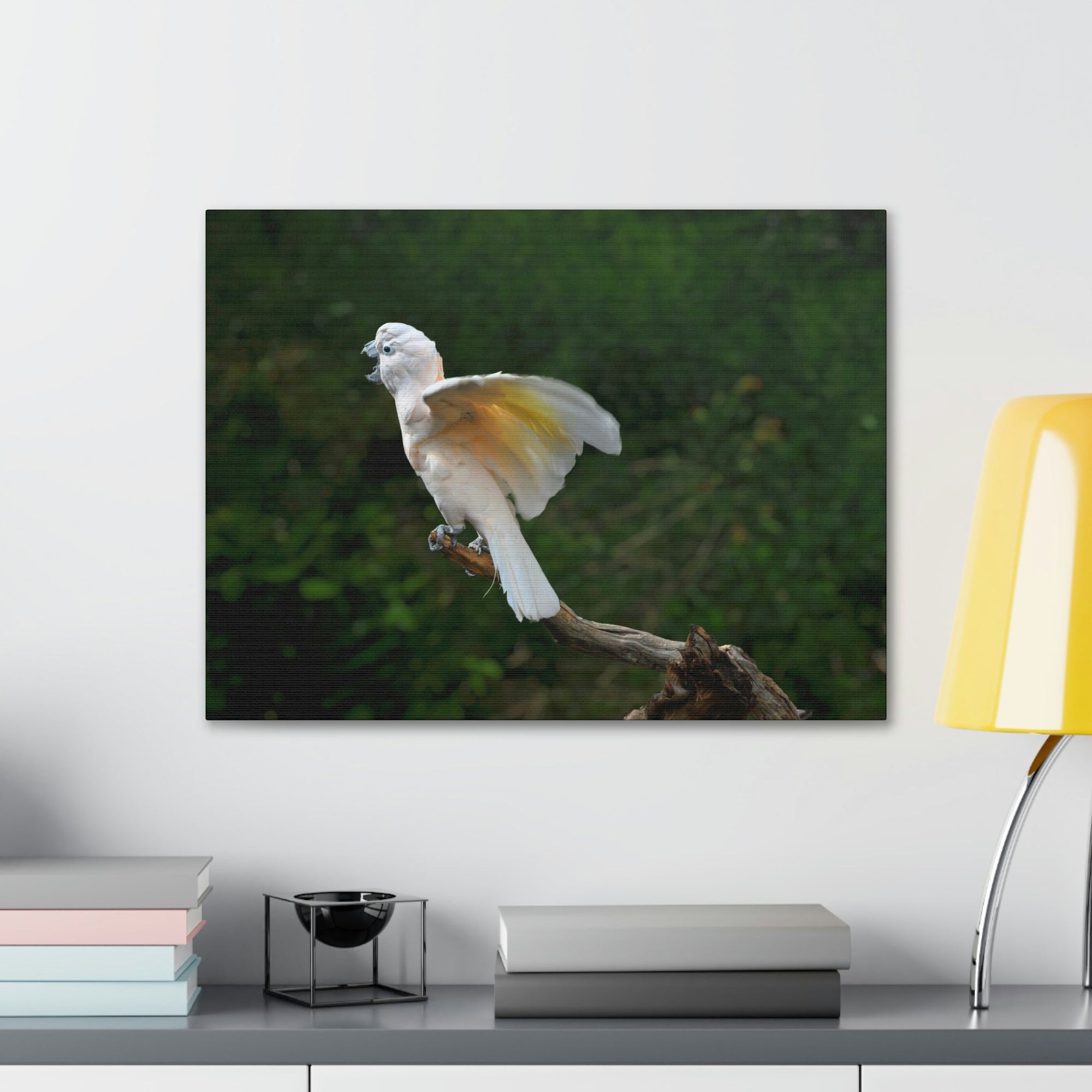 Scripture Walls Majestic Cockatoo Print Animal Wall Art Wildlife Canvas Prints Wall Art Ready to Hang Unframed-Express Your Love Gifts