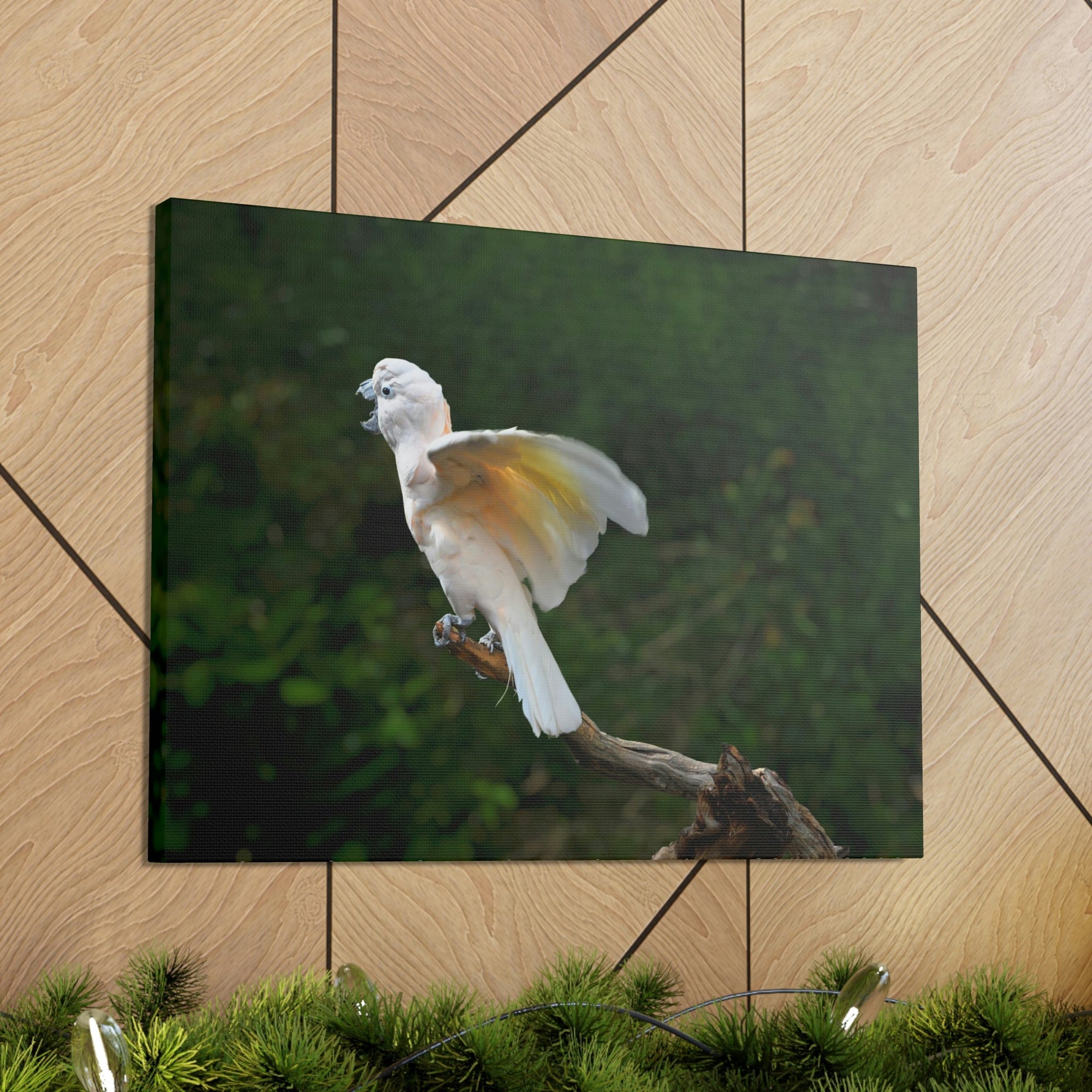 Scripture Walls Majestic Cockatoo Print Animal Wall Art Wildlife Canvas Prints Wall Art Ready to Hang Unframed-Express Your Love Gifts