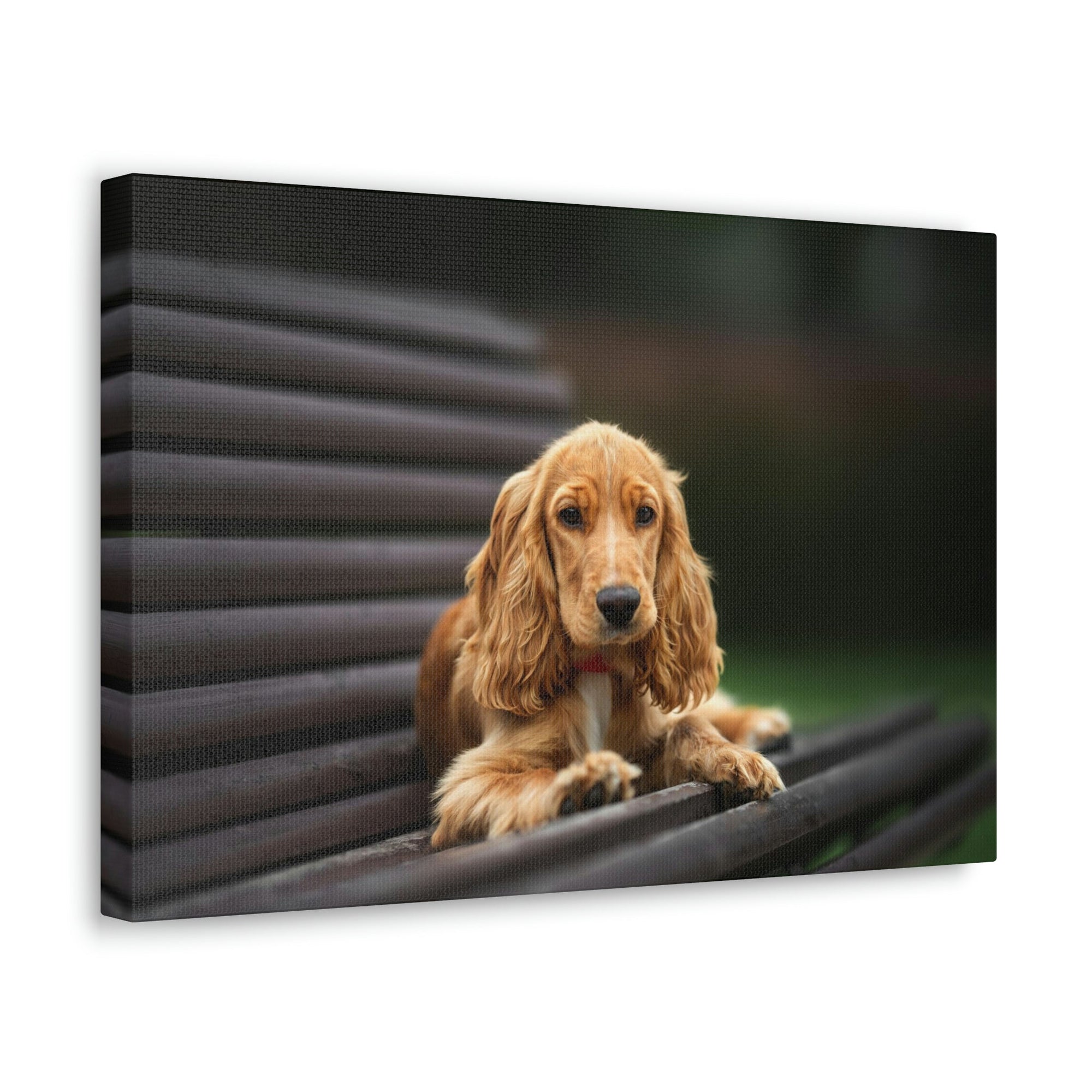 Scripture Walls Majestic Cocker Spaniel Art Majestic Cocker Spaniel Print Animal Wall Art Wildlife Canvas Prints Wall Art Ready to Hang Unframed-Express Your Love Gifts