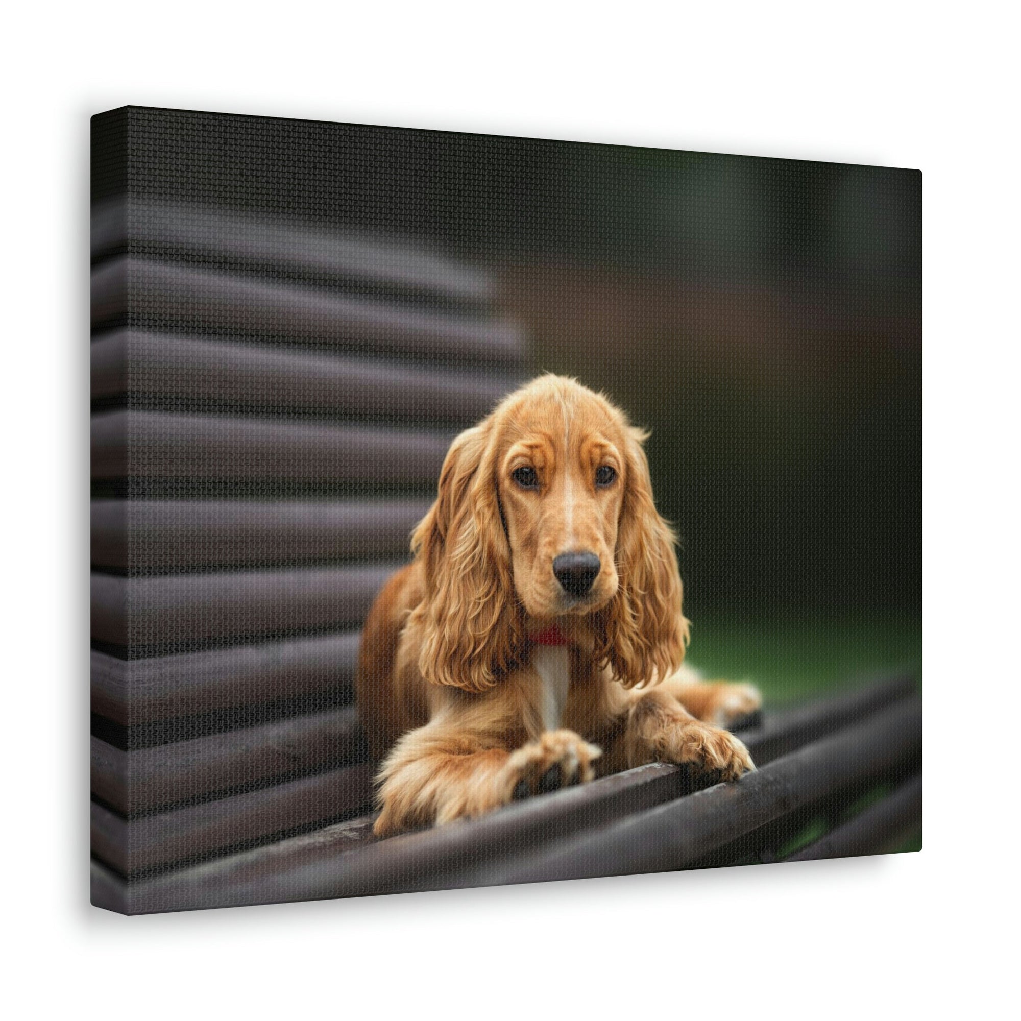 Scripture Walls Majestic Cocker Spaniel Art Majestic Cocker Spaniel Print Animal Wall Art Wildlife Canvas Prints Wall Art Ready to Hang Unframed-Express Your Love Gifts