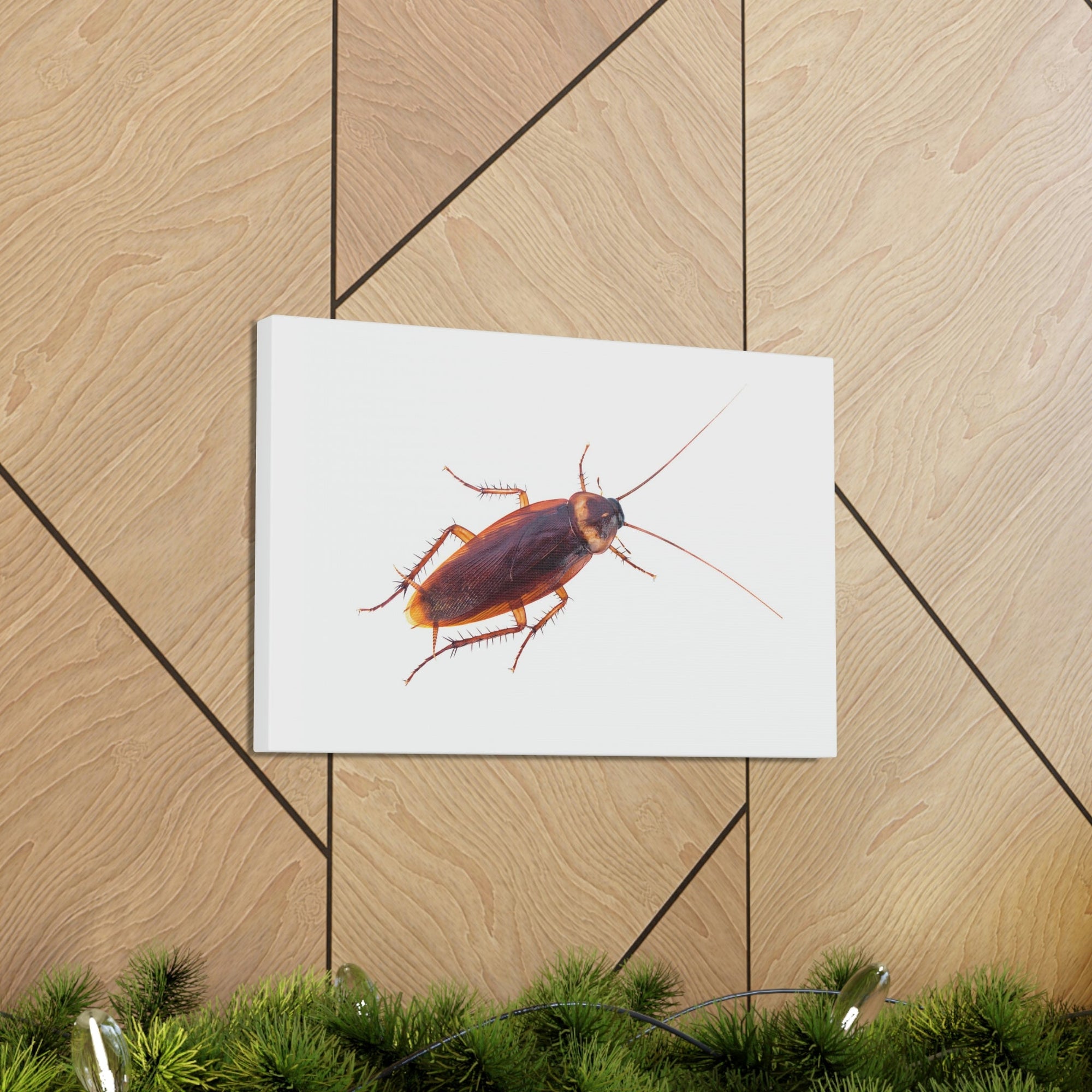 Scripture Walls Majestic Cockroach Art Majestic Cockroach Print Animal Wall Art Wildlife Canvas Prints Wall Art Ready to Hang Unframed-Express Your Love Gifts