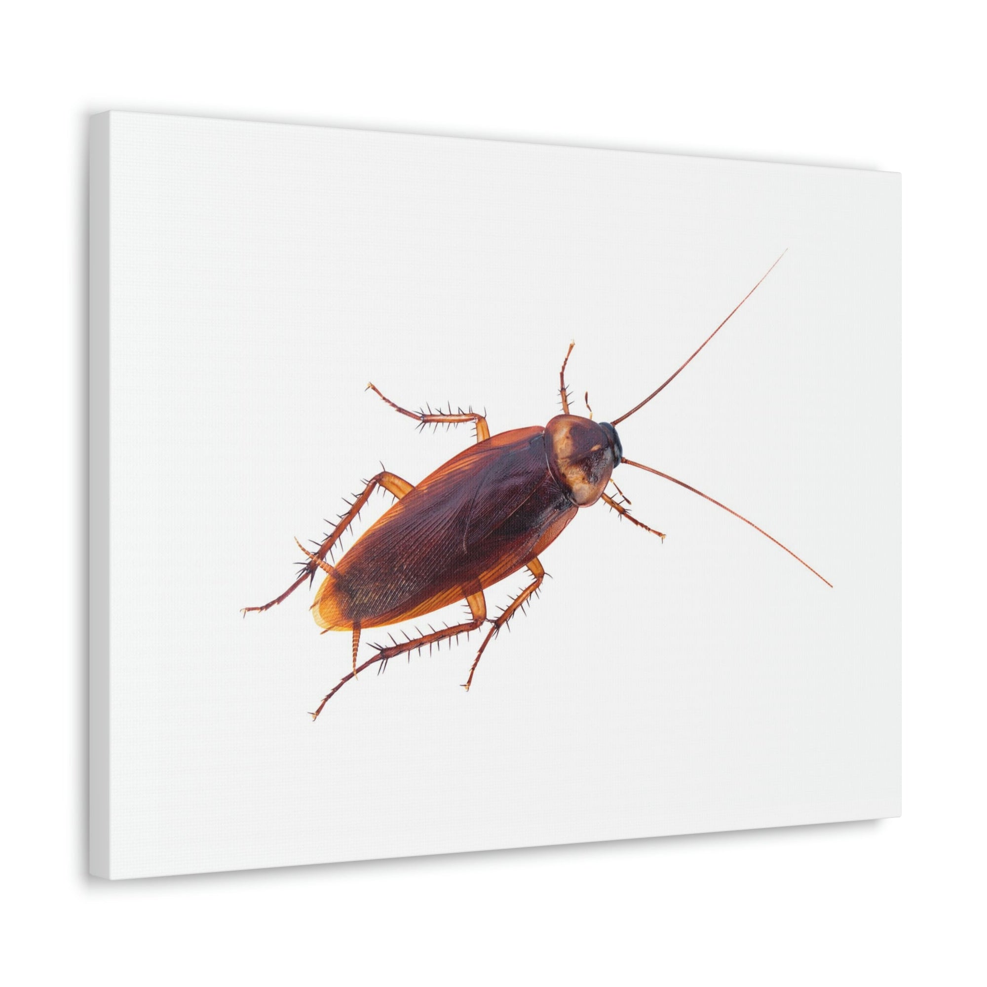 Scripture Walls Majestic Cockroach Art Majestic Cockroach Print Animal Wall Art Wildlife Canvas Prints Wall Art Ready to Hang Unframed-Express Your Love Gifts