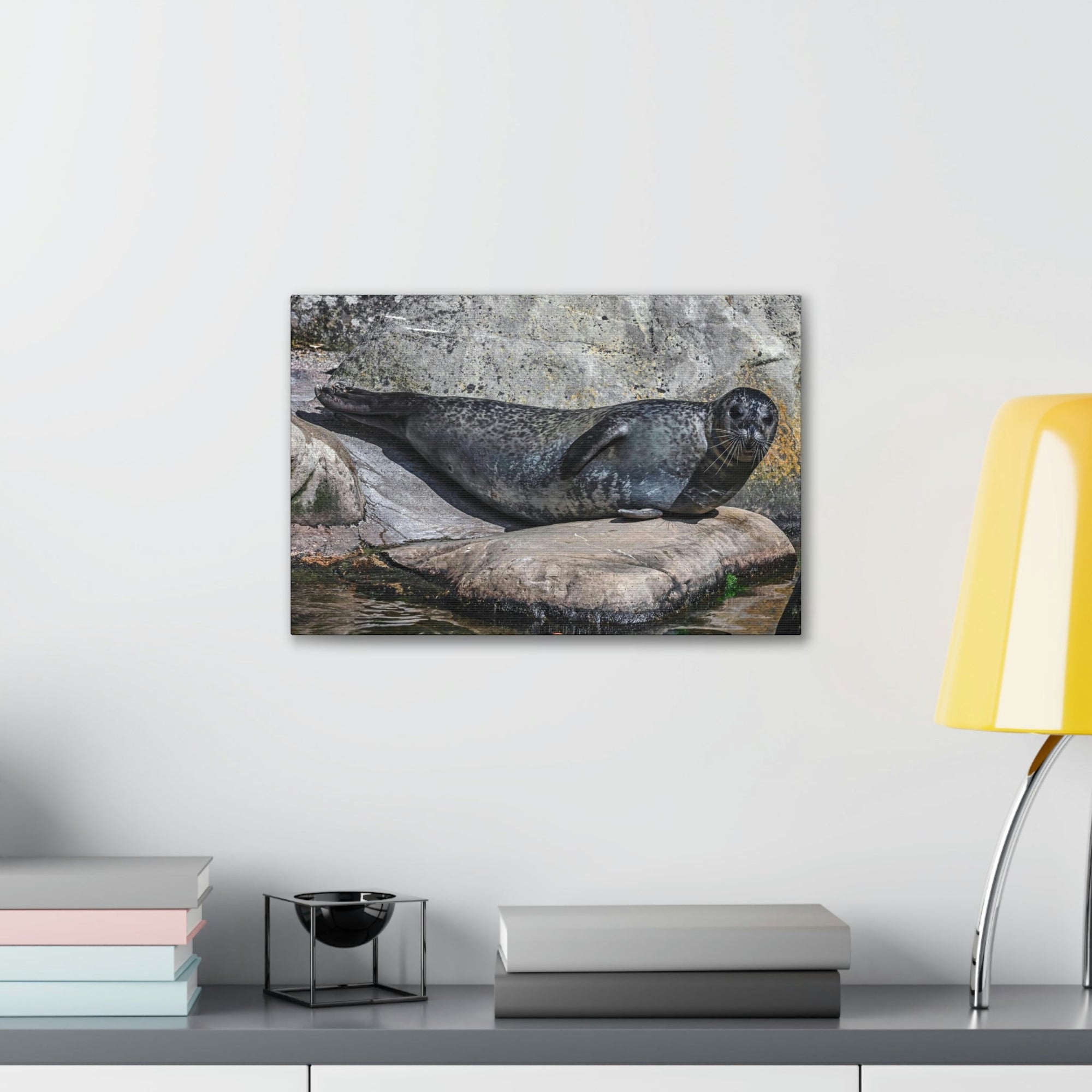 Scripture Walls Majestic Common Seal Art Majestic Common Seal Print Animal Wall Art Wildlife Canvas Prints Wall Art Ready to Hang Unframed-Express Your Love Gifts