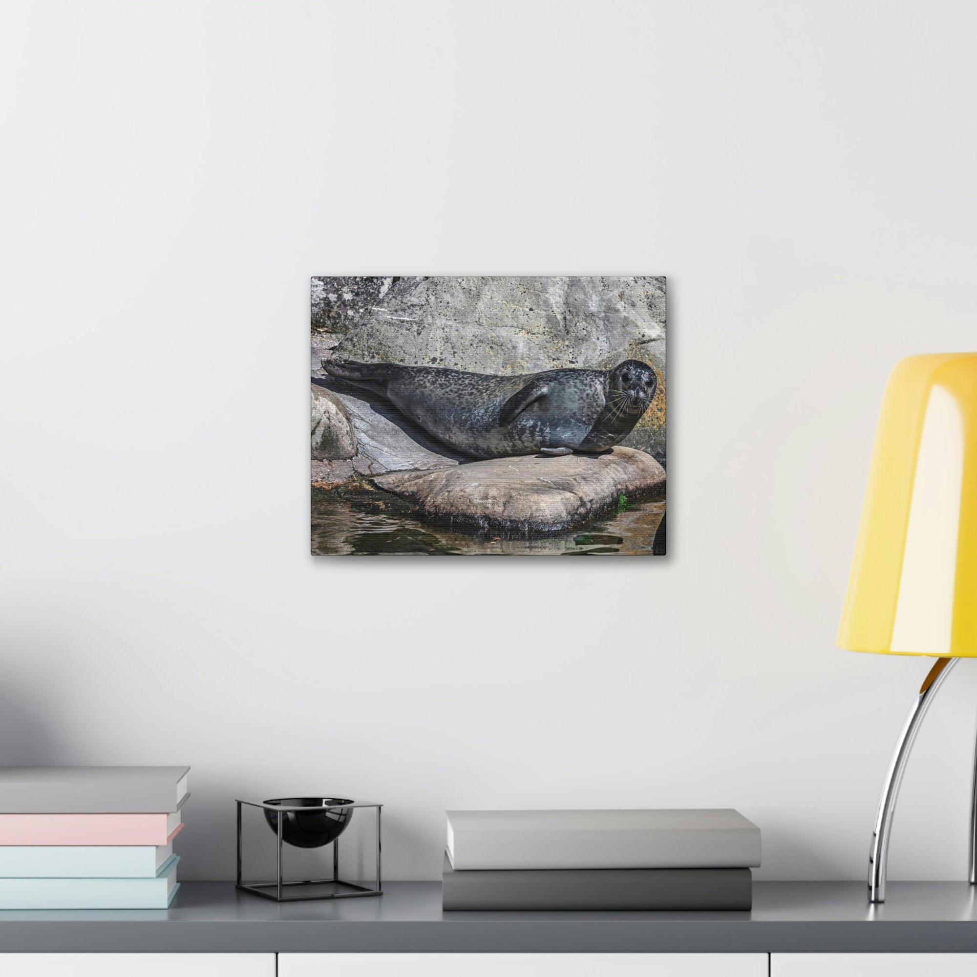 Scripture Walls Majestic Common Seal Art Majestic Common Seal Print Animal Wall Art Wildlife Canvas Prints Wall Art Ready to Hang Unframed-Express Your Love Gifts