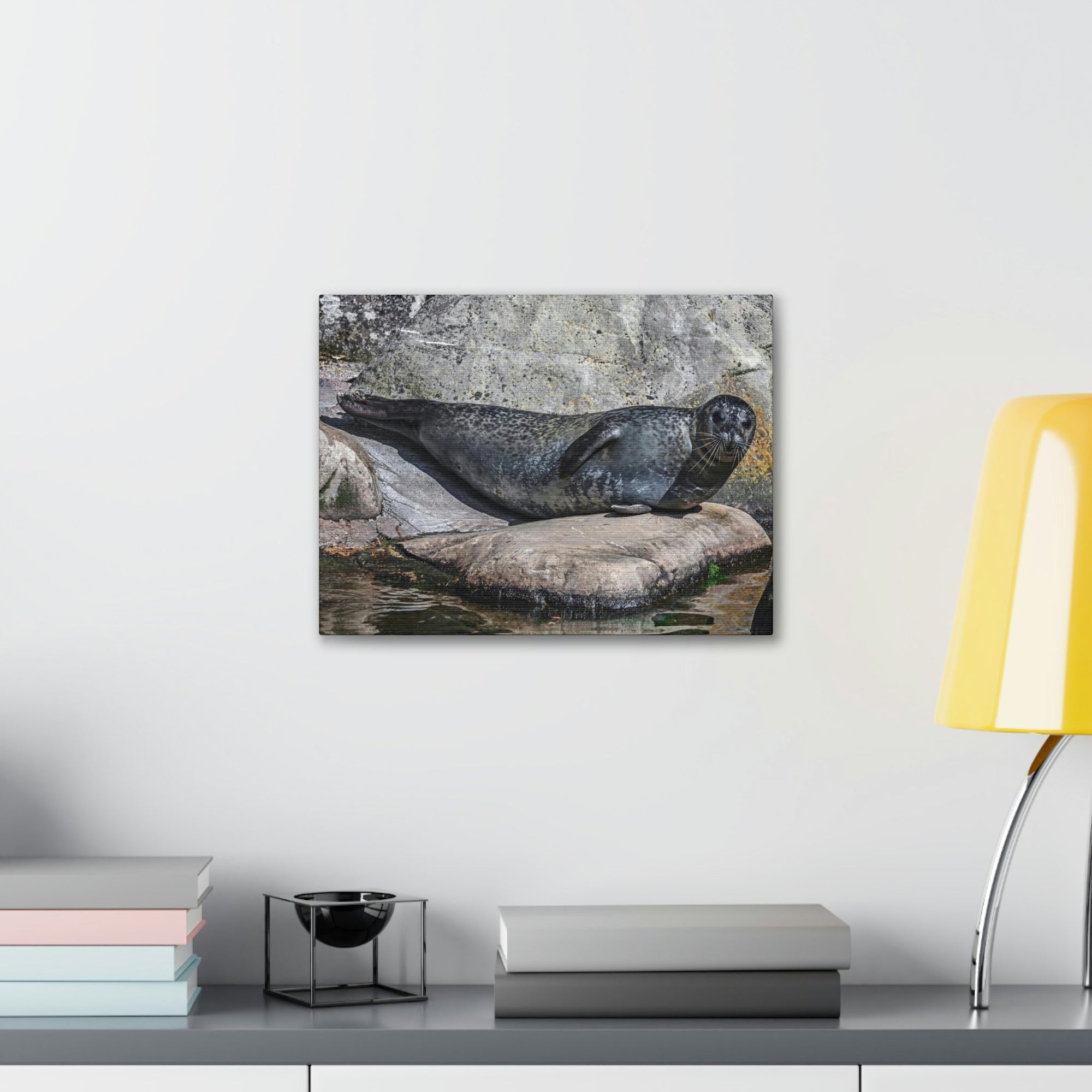 Scripture Walls Majestic Common Seal Art Majestic Common Seal Print Animal Wall Art Wildlife Canvas Prints Wall Art Ready to Hang Unframed-Express Your Love Gifts