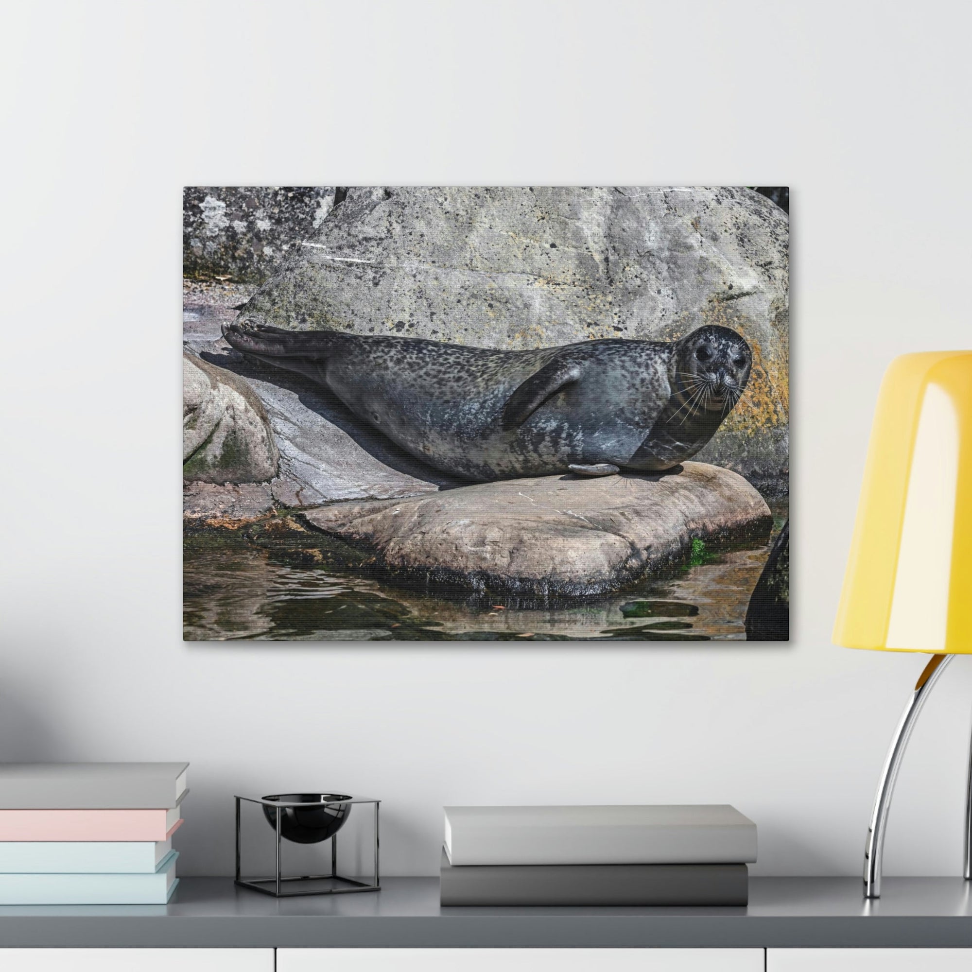 Scripture Walls Majestic Common Seal Art Majestic Common Seal Print Animal Wall Art Wildlife Canvas Prints Wall Art Ready to Hang Unframed-Express Your Love Gifts