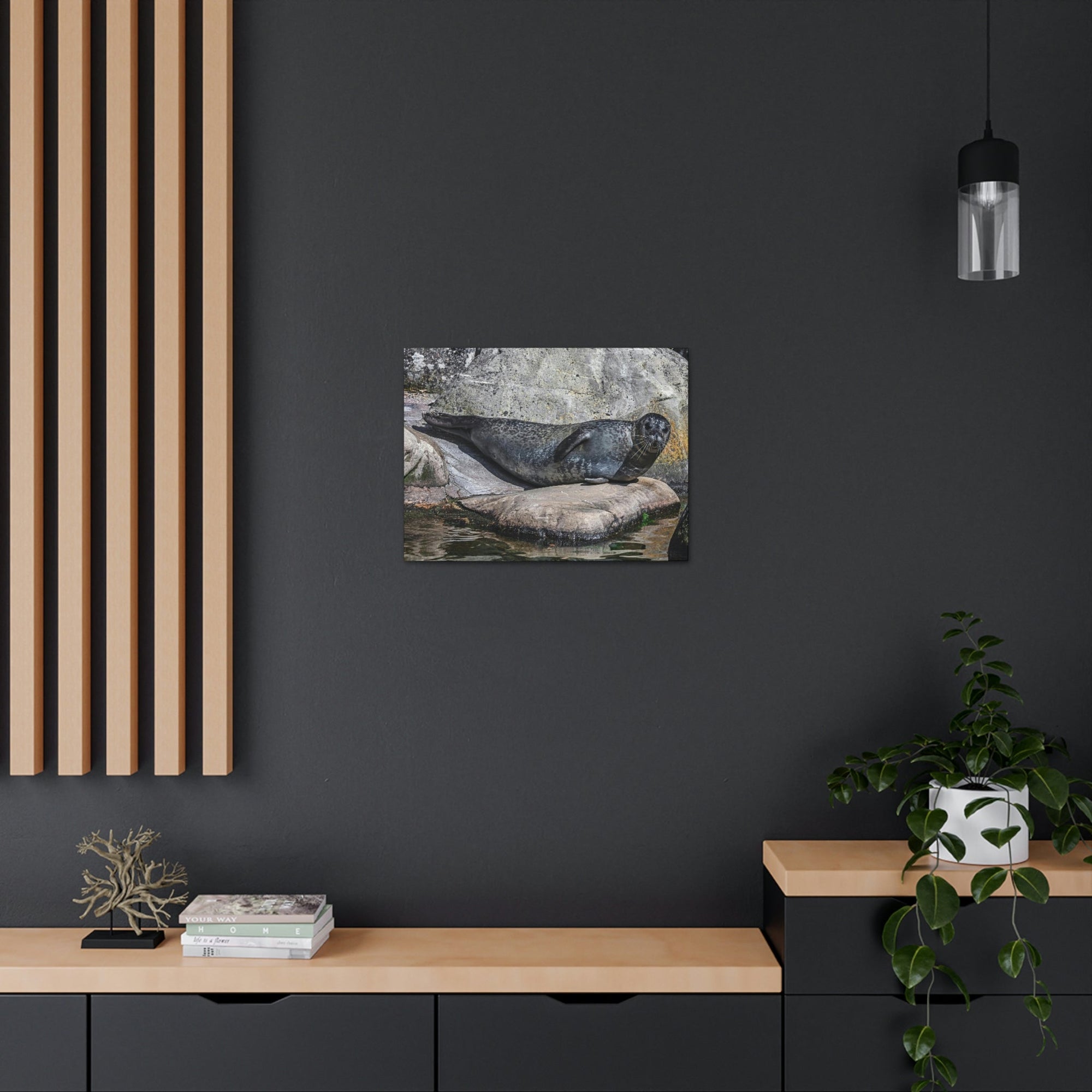 Scripture Walls Majestic Common Seal Art Majestic Common Seal Print Animal Wall Art Wildlife Canvas Prints Wall Art Ready to Hang Unframed-Express Your Love Gifts