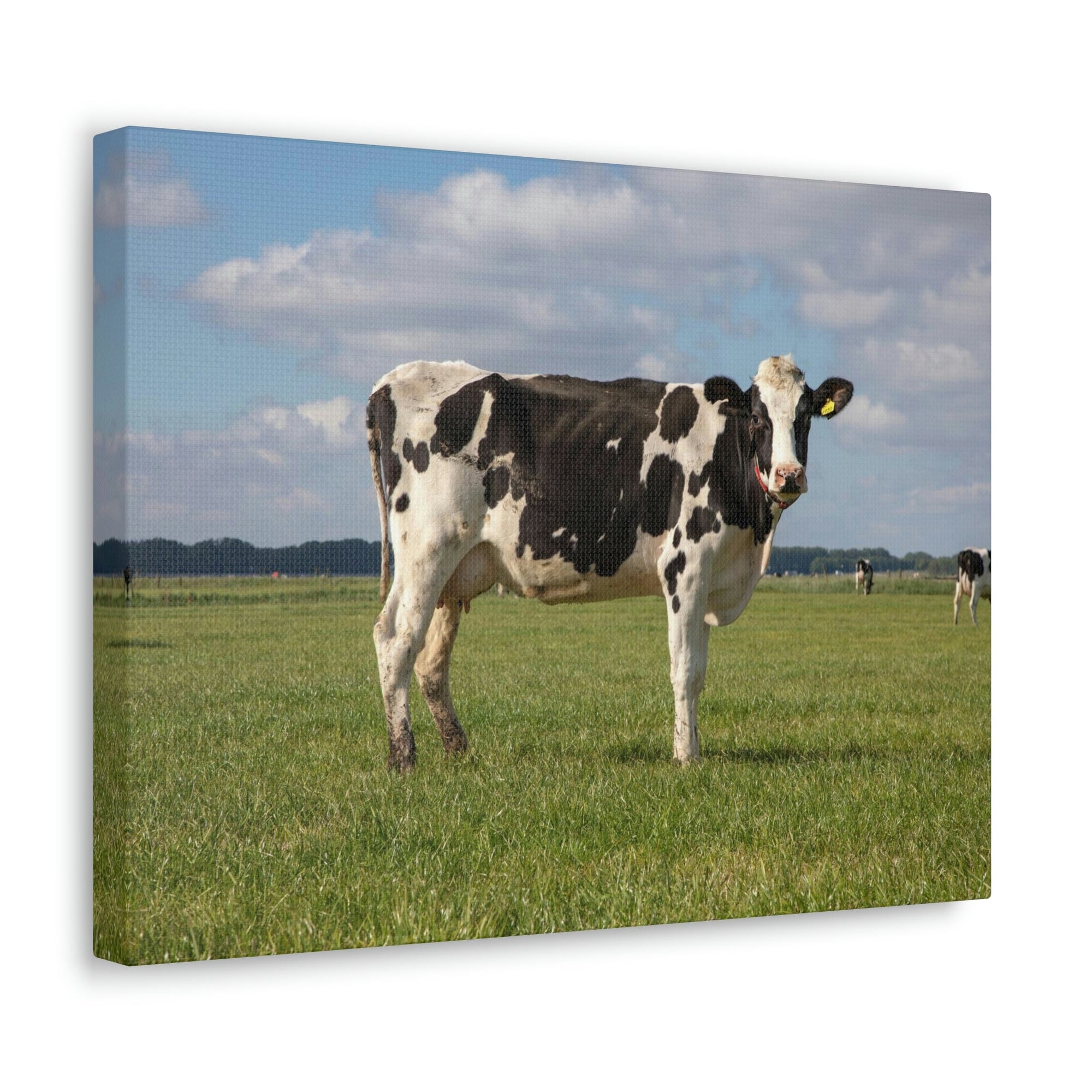 Scripture Walls Majestic Cow Art Majestic Cow Print Animal Wall Art Wildlife Canvas Prints Wall Art Ready to Hang Unframed-Express Your Love Gifts