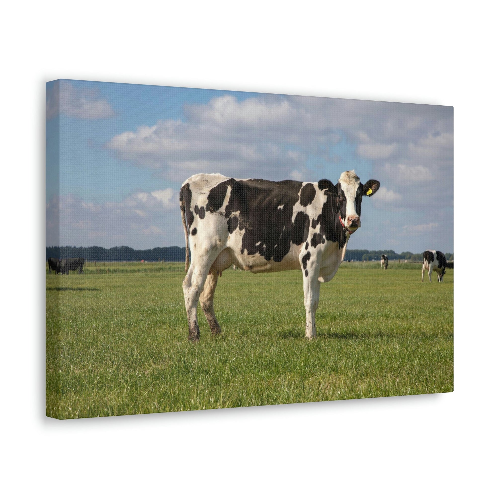 Scripture Walls Majestic Cow Art Majestic Cow Print Animal Wall Art Wildlife Canvas Prints Wall Art Ready to Hang Unframed-Express Your Love Gifts