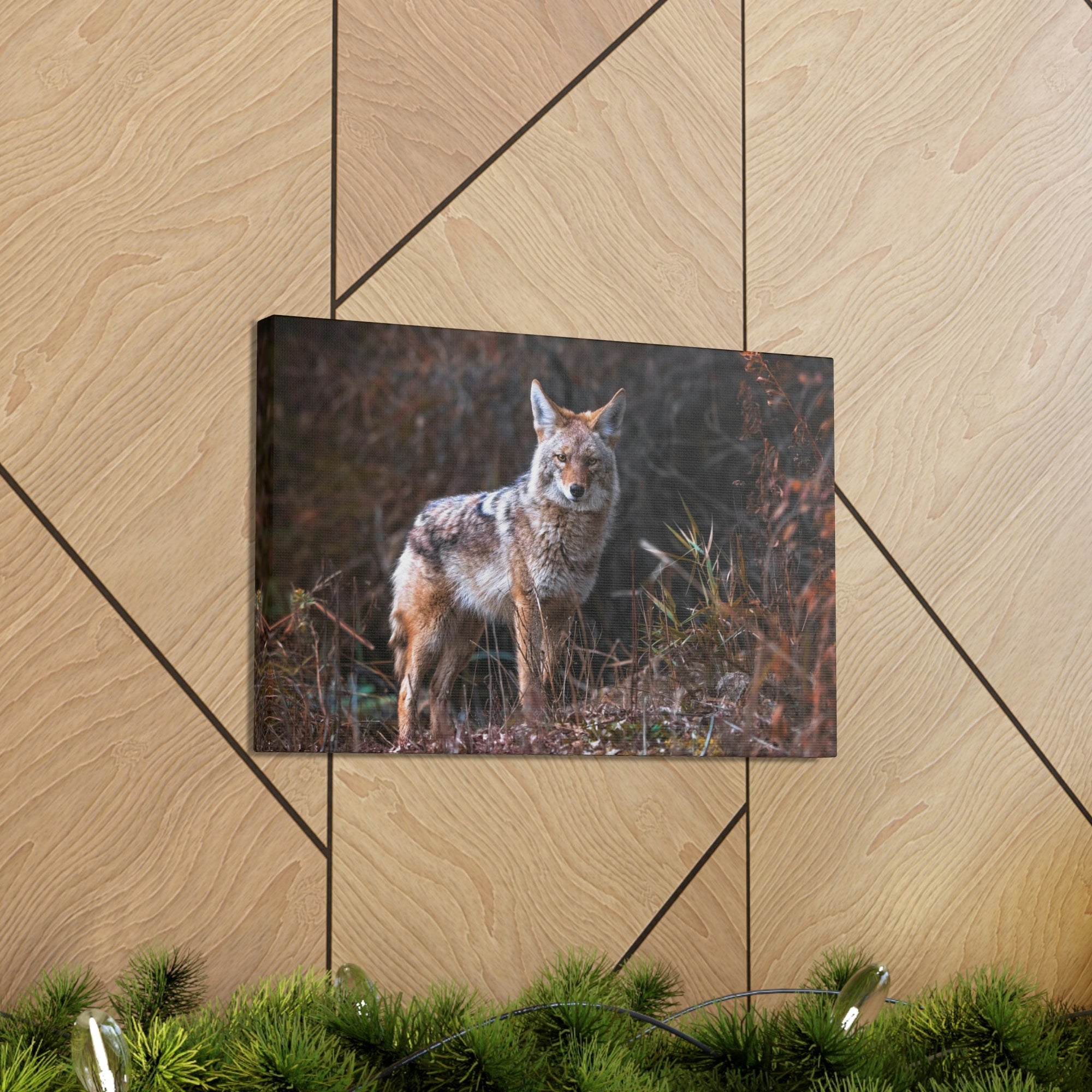 Scripture Walls Majestic Coyote Art Majestic Coyote Print Animal Wall Art Wildlife Canvas Prints Wall Art Ready to Hang Unframed-Express Your Love Gifts