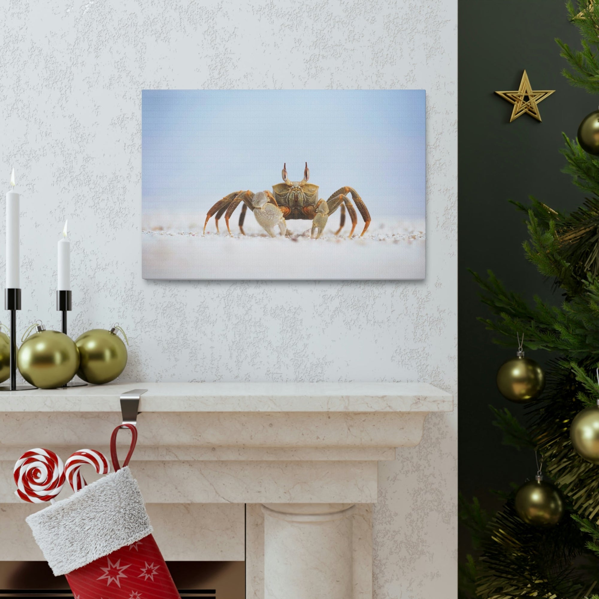 Scripture Walls Majestic Crab Art Majestic Crab Print Animal Wall Art Wildlife Canvas Prints Wall Art Ready to Hang Unframed-Express Your Love Gifts