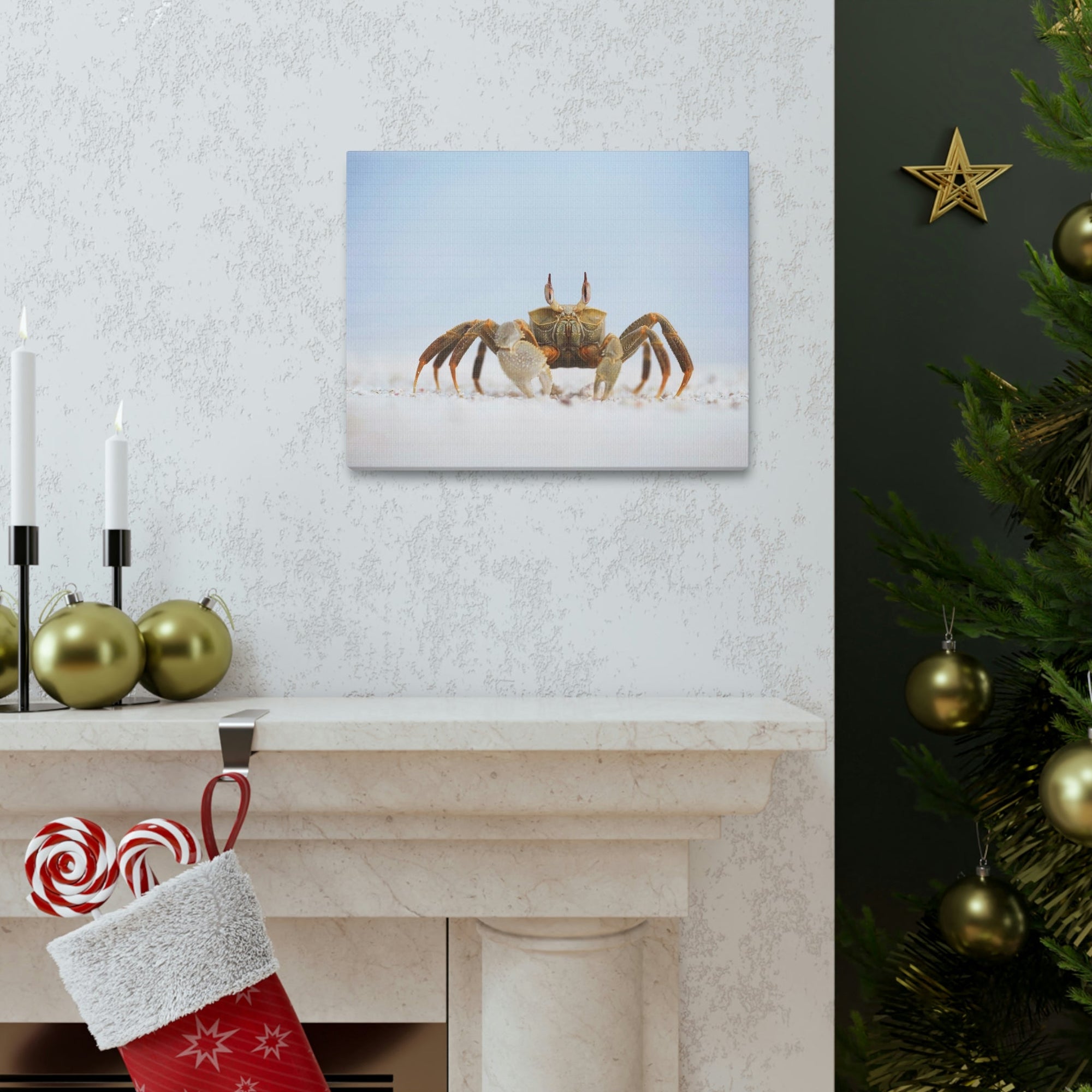 Scripture Walls Majestic Crab Art Majestic Crab Print Animal Wall Art Wildlife Canvas Prints Wall Art Ready to Hang Unframed-Express Your Love Gifts