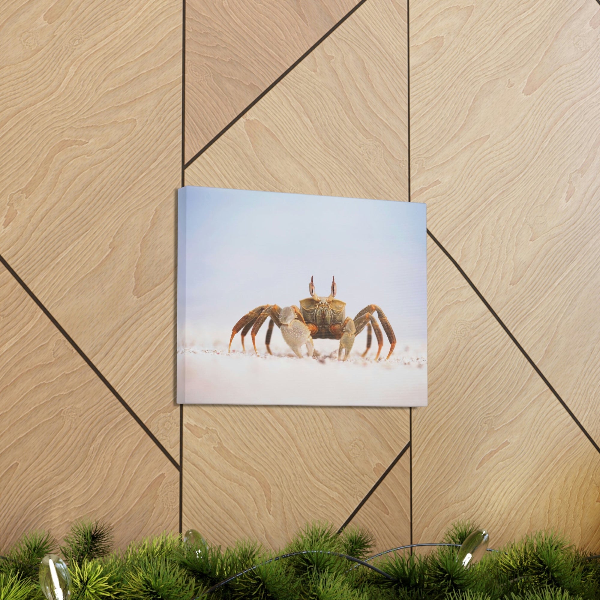 Scripture Walls Majestic Crab Art Majestic Crab Print Animal Wall Art Wildlife Canvas Prints Wall Art Ready to Hang Unframed-Express Your Love Gifts