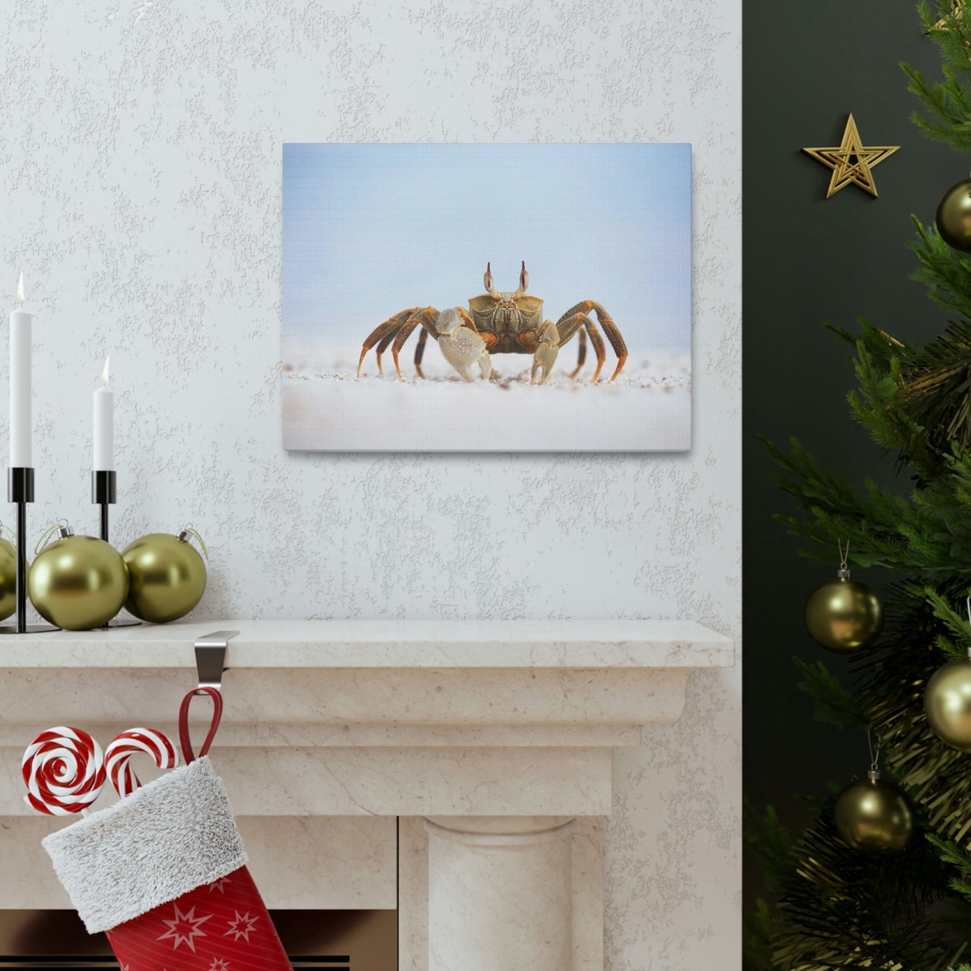 Scripture Walls Majestic Crab Art Majestic Crab Print Animal Wall Art Wildlife Canvas Prints Wall Art Ready to Hang Unframed-Express Your Love Gifts