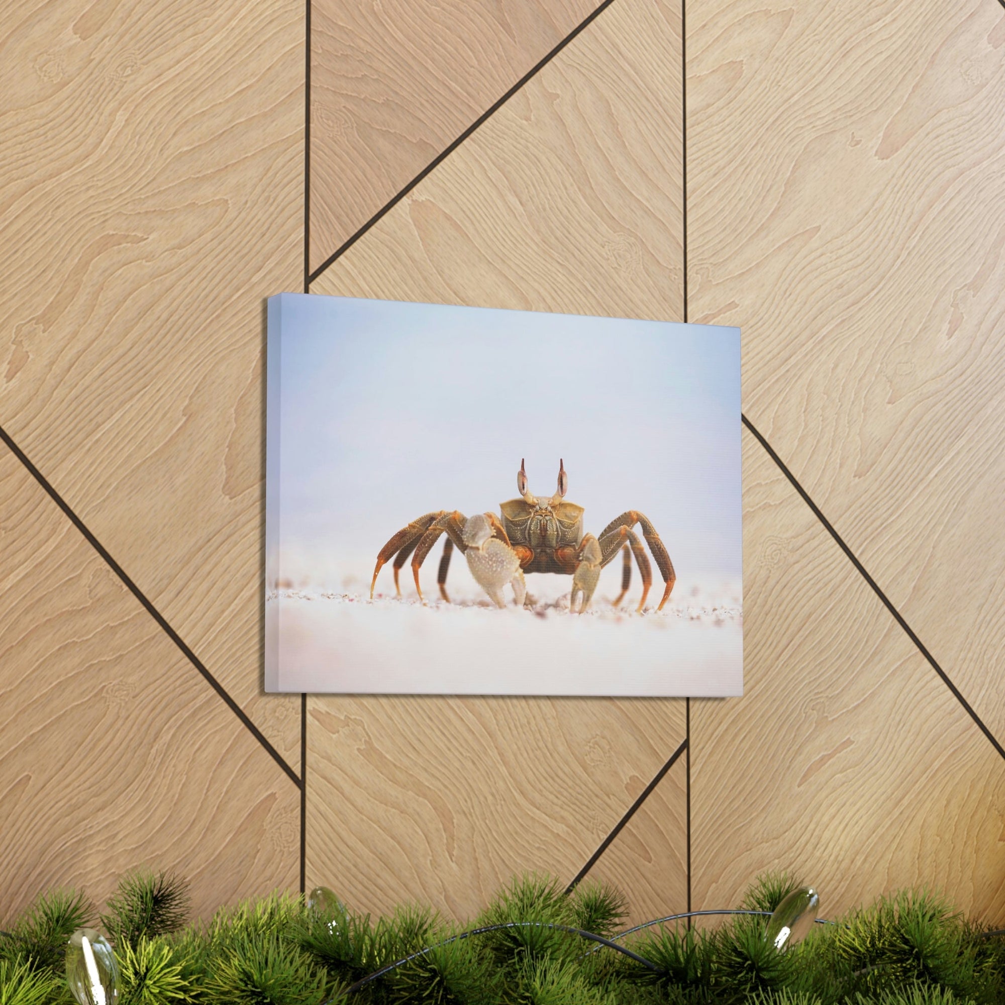 Scripture Walls Majestic Crab Art Majestic Crab Print Animal Wall Art Wildlife Canvas Prints Wall Art Ready to Hang Unframed-Express Your Love Gifts