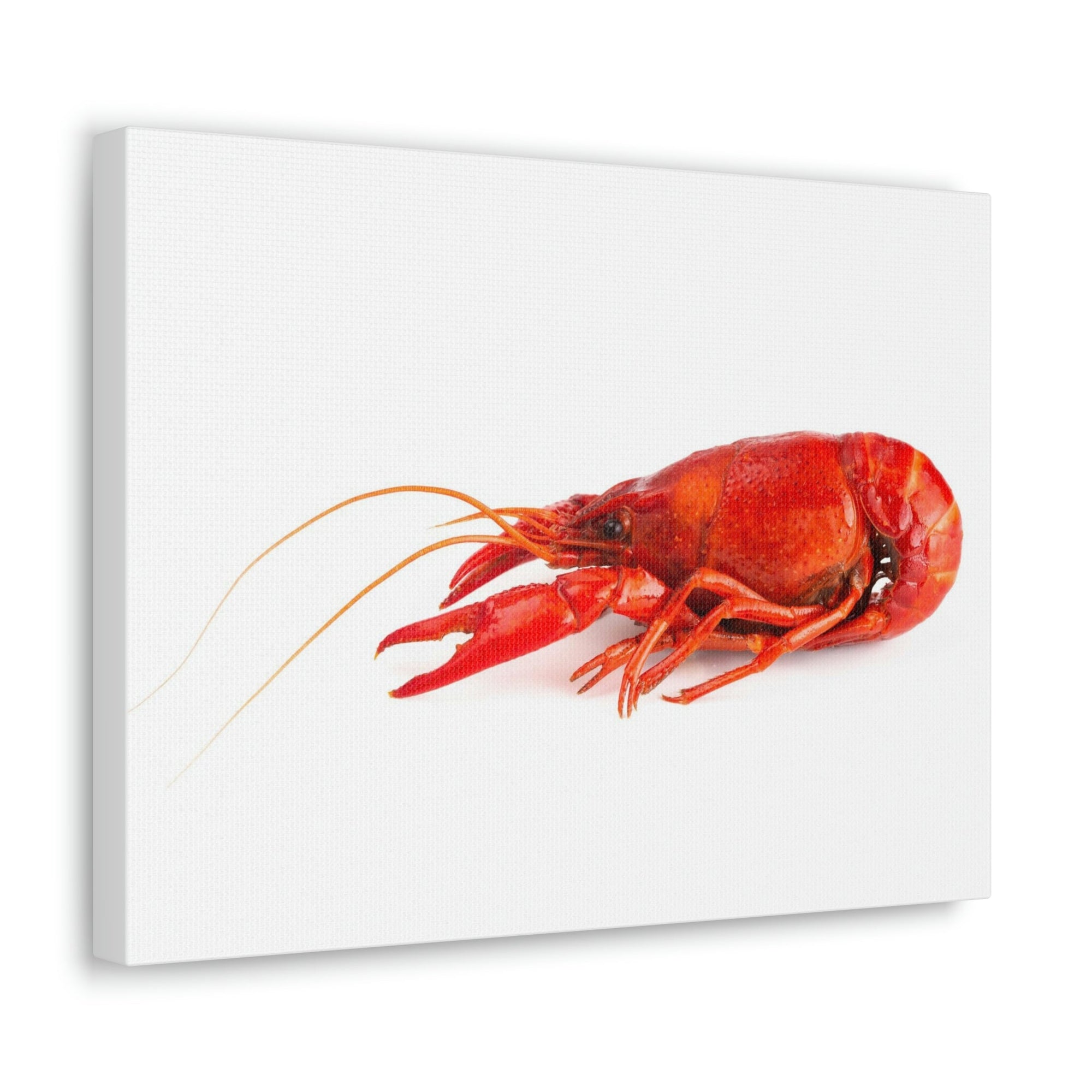 Scripture Walls Majestic Crawfish Art Majestic Crawfish Print Animal Wall Art Wildlife Canvas Prints Wall Art Ready to Hang Unframed-Express Your Love Gifts