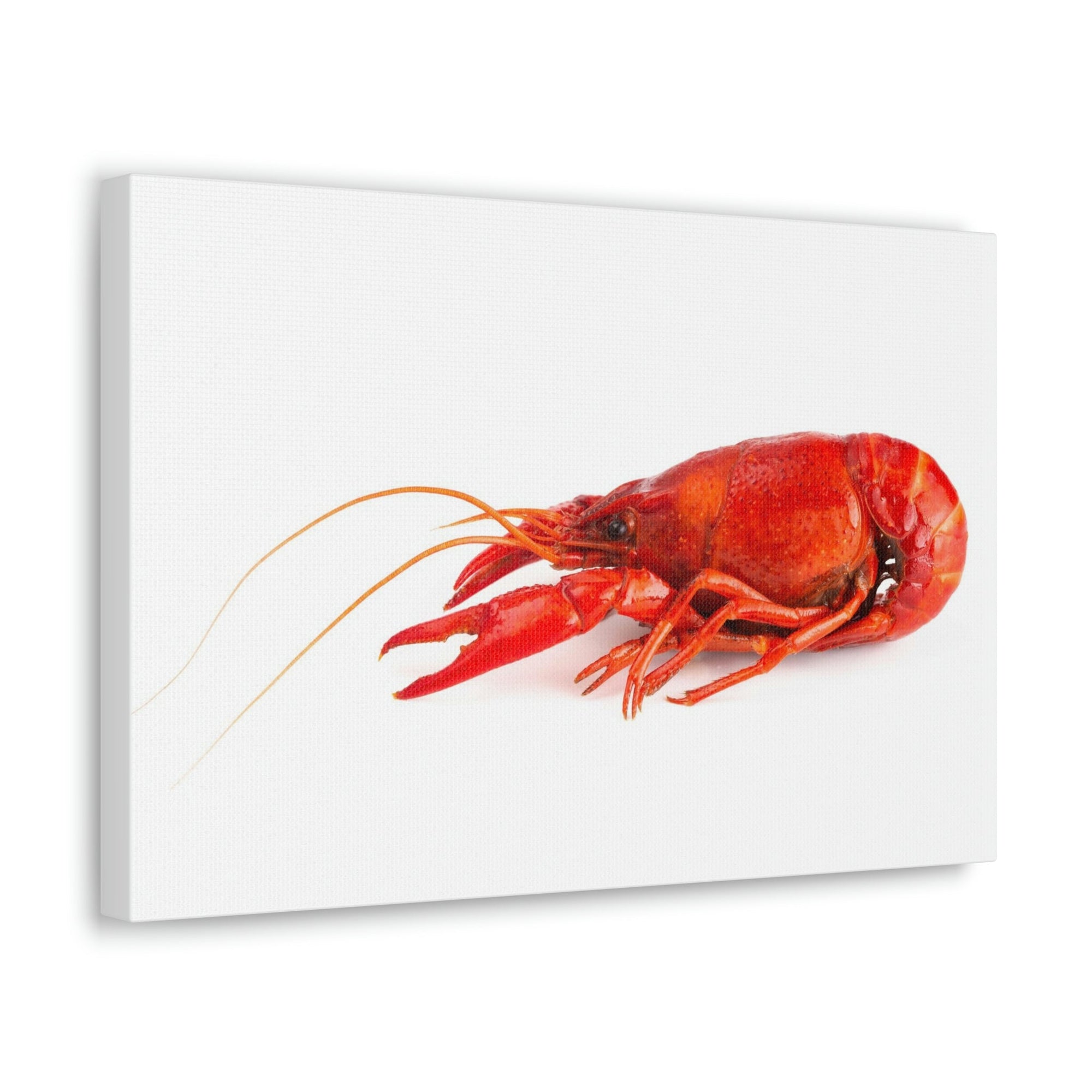 Scripture Walls Majestic Crawfish Art Majestic Crawfish Print Animal Wall Art Wildlife Canvas Prints Wall Art Ready to Hang Unframed-Express Your Love Gifts