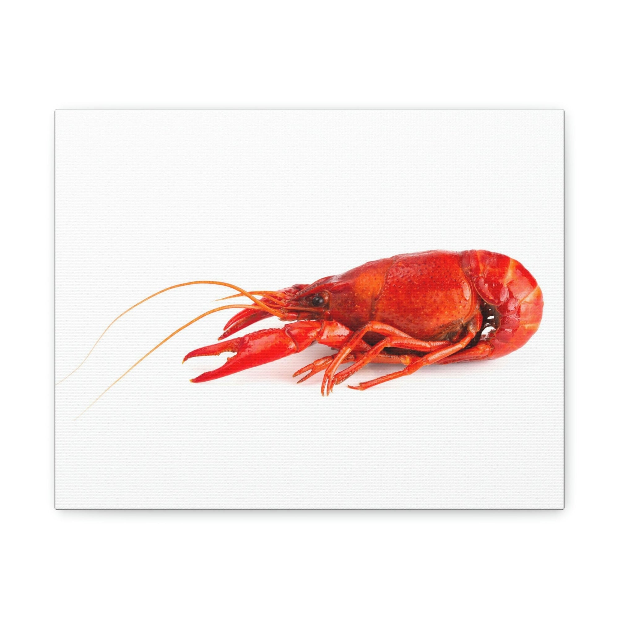 Scripture Walls Majestic Crawfish Art Majestic Crawfish Print Animal Wall Art Wildlife Canvas Prints Wall Art Ready to Hang Unframed-Express Your Love Gifts