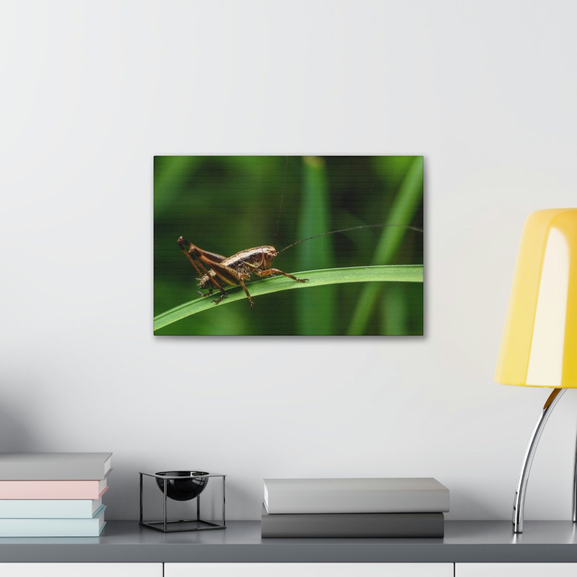 Scripture Walls Majestic Cricket Art Majestic Cricket Print Animal Wall Art Wildlife Canvas Prints Wall Art Ready to Hang Unframed-Express Your Love Gifts