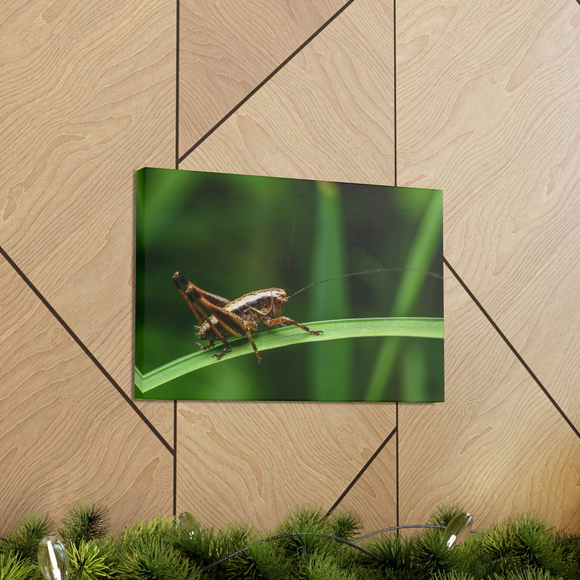 Scripture Walls Majestic Cricket Art Majestic Cricket Print Animal Wall Art Wildlife Canvas Prints Wall Art Ready to Hang Unframed-Express Your Love Gifts