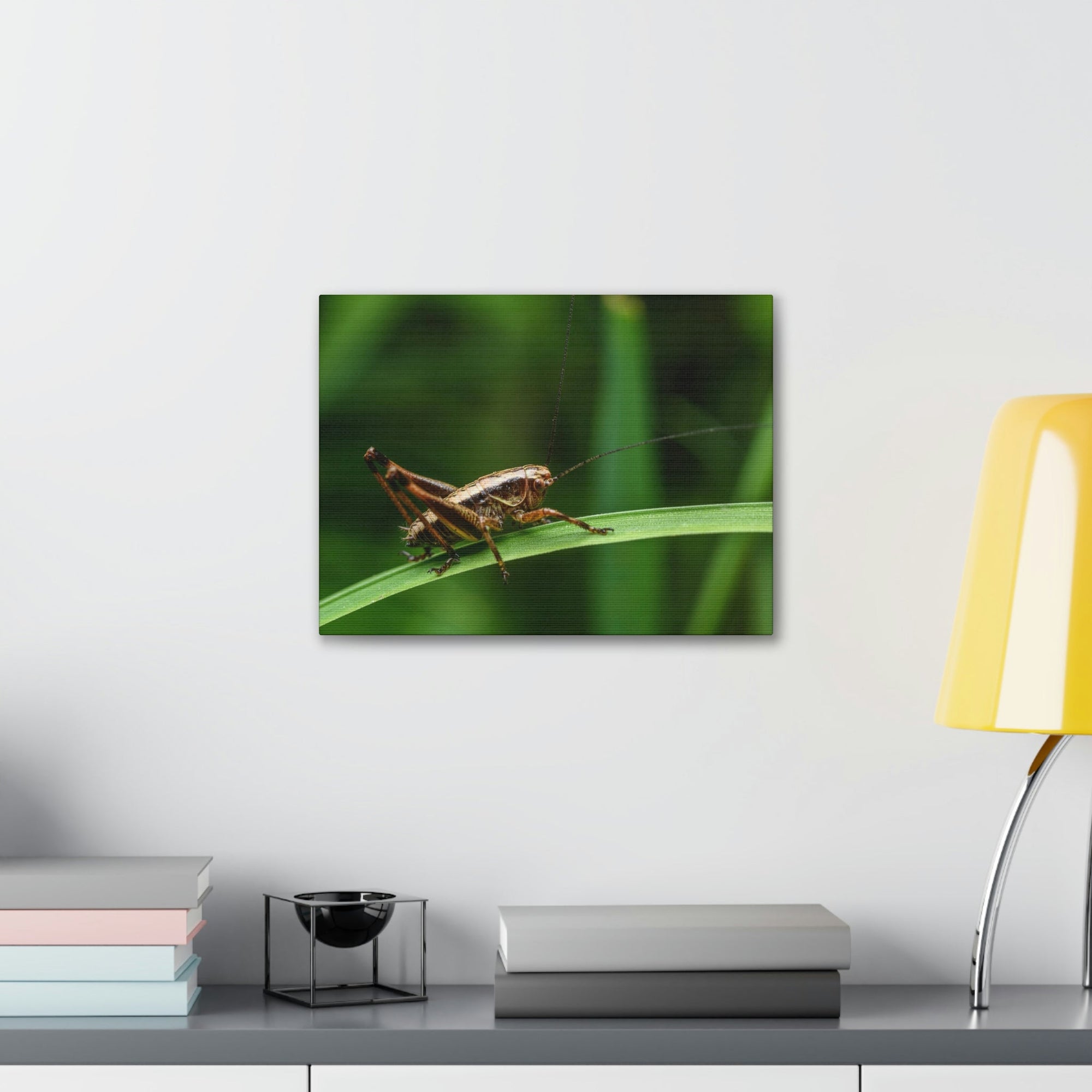 Scripture Walls Majestic Cricket Art Majestic Cricket Print Animal Wall Art Wildlife Canvas Prints Wall Art Ready to Hang Unframed-Express Your Love Gifts