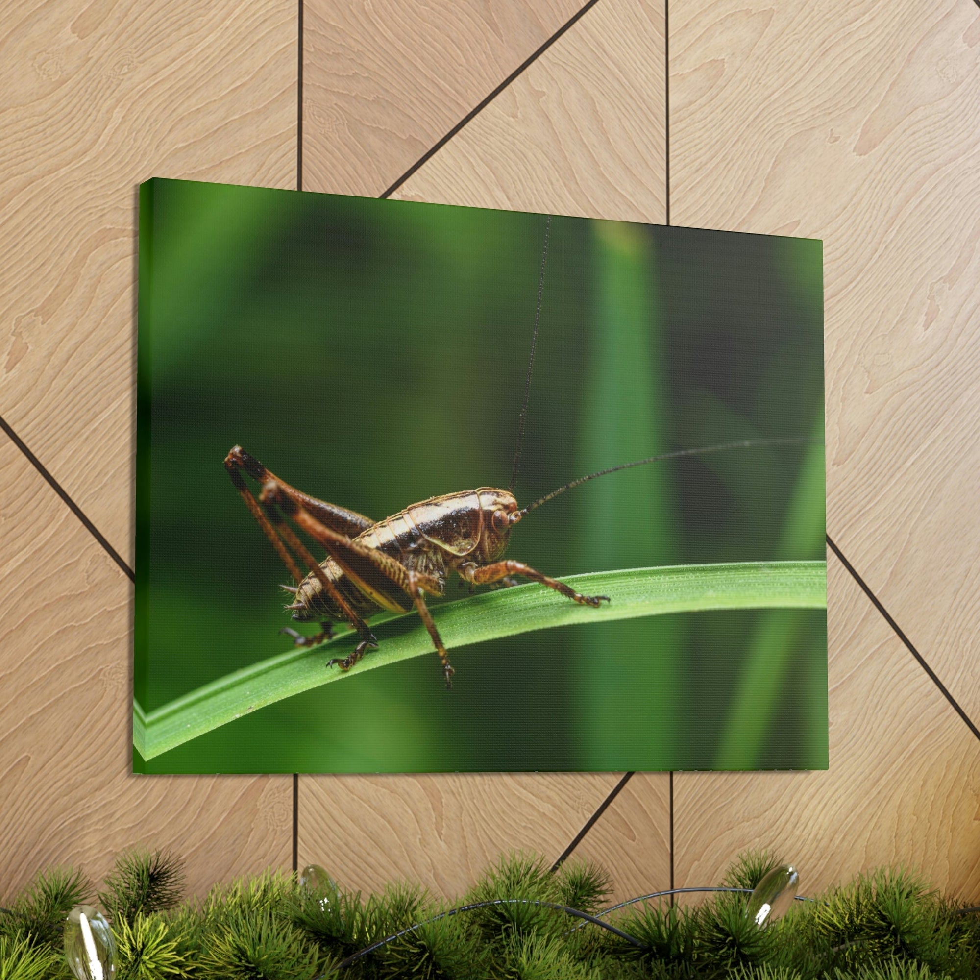 Scripture Walls Majestic Cricket Art Majestic Cricket Print Animal Wall Art Wildlife Canvas Prints Wall Art Ready to Hang Unframed-Express Your Love Gifts