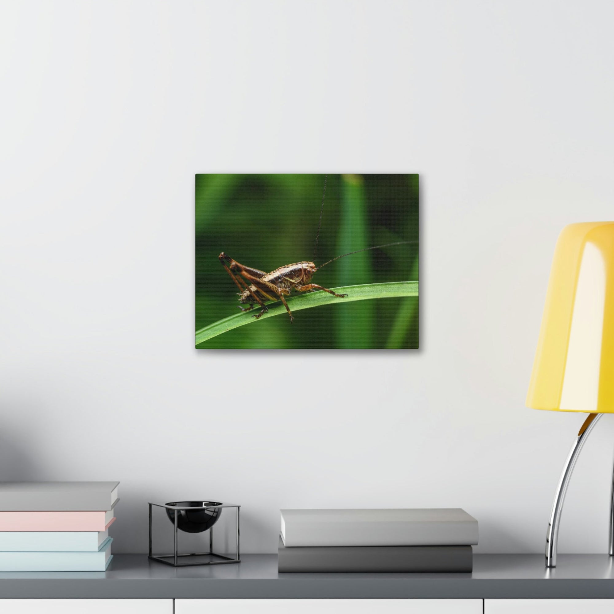 Scripture Walls Majestic Cricket Art Majestic Cricket Print Animal Wall Art Wildlife Canvas Prints Wall Art Ready to Hang Unframed-Express Your Love Gifts