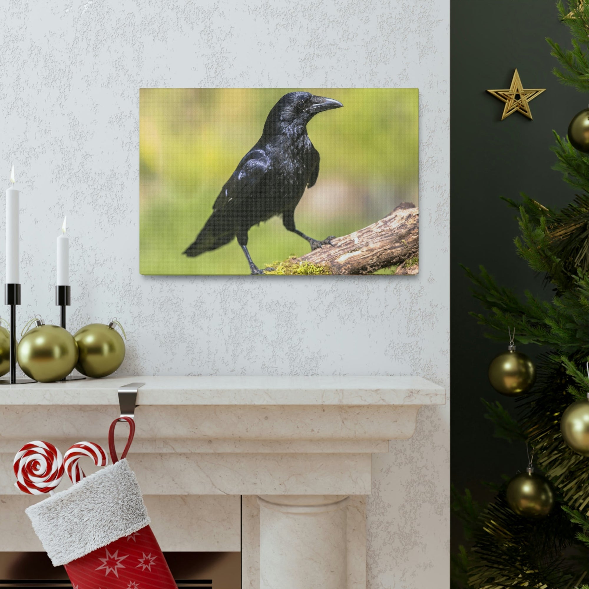 Scripture Walls Majestic Crow Art Majestic Crow Print Animal Wall Art Wildlife Canvas Prints Wall Art Ready to Hang Unframed-Express Your Love Gifts