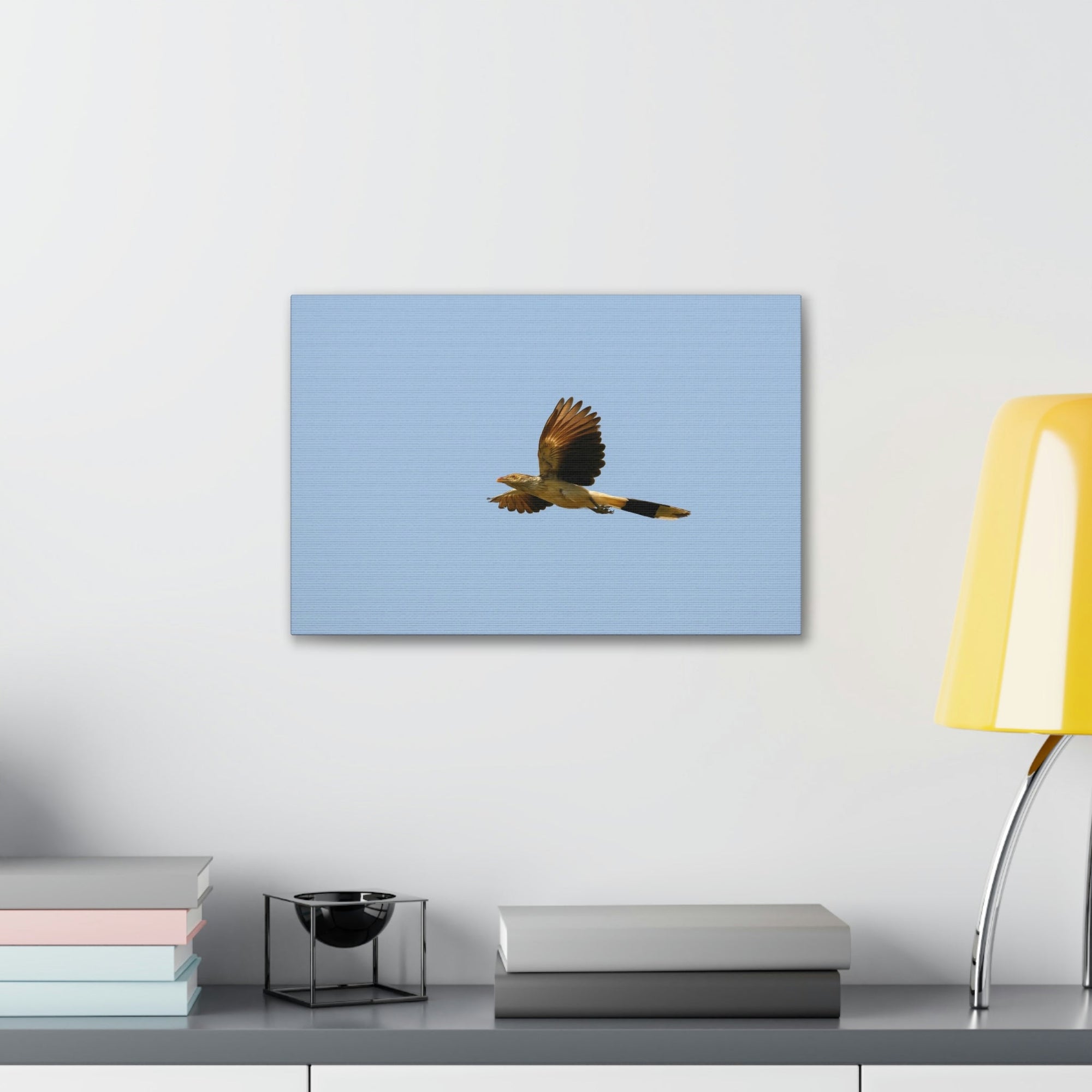 Scripture Walls Majestic Cuckoo Bird Flying Free Print Animal Wall Art Wildlife Canvas Prints Wall Art Ready to Hang Unframed-Express Your Love Gifts