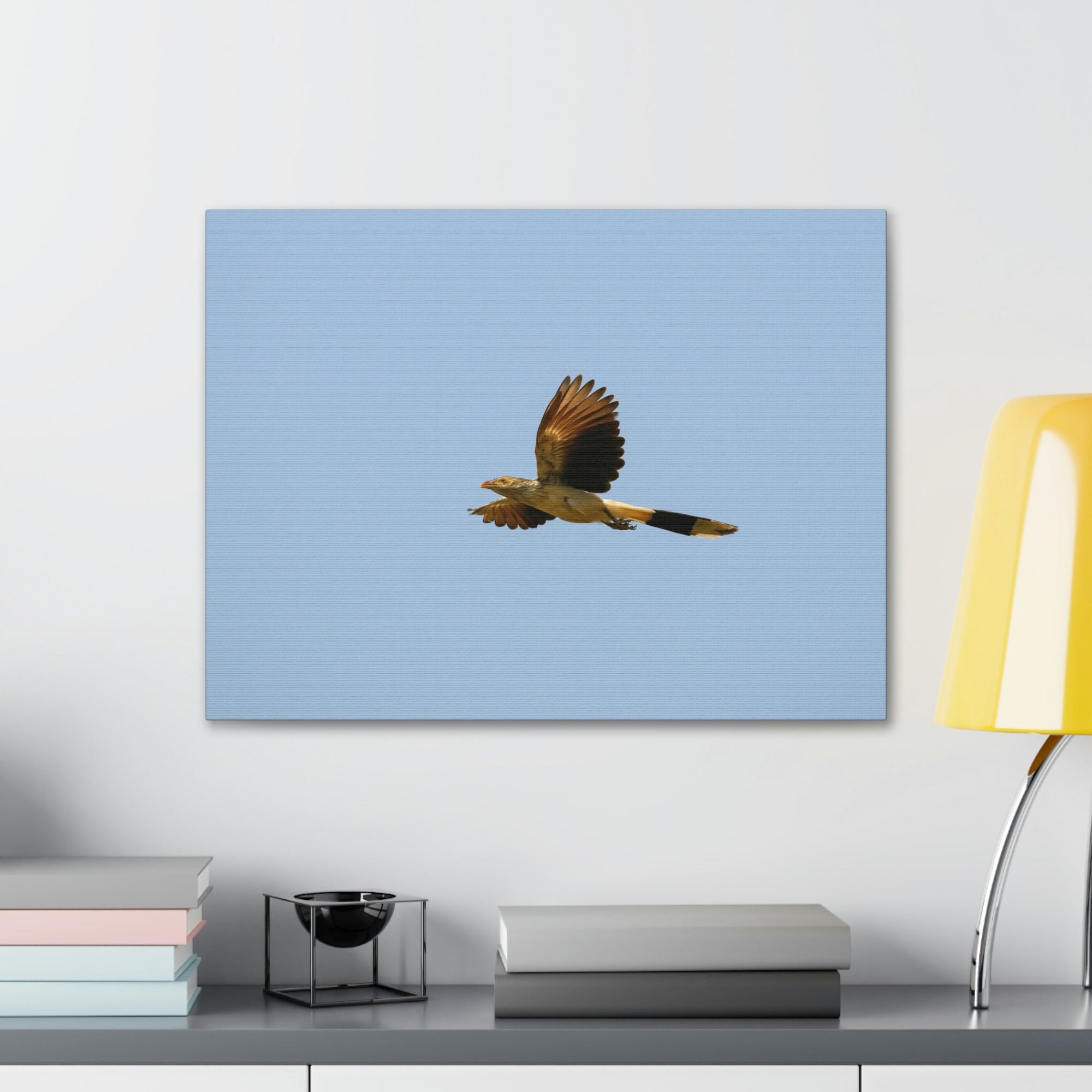 Scripture Walls Majestic Cuckoo Bird Flying Free Print Animal Wall Art Wildlife Canvas Prints Wall Art Ready to Hang Unframed-Express Your Love Gifts