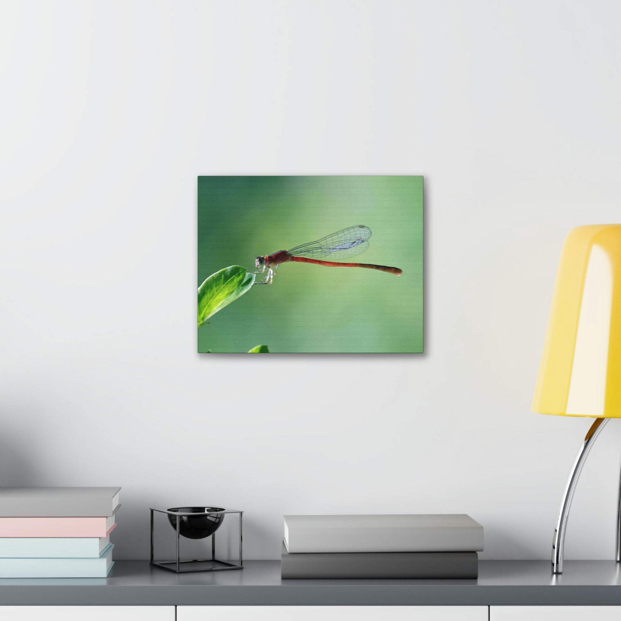 Scripture Walls Majestic Damselfly Perched on a Green Leaf Art Print Animal Wall Art Wildlife Canvas Prints Wall Art Ready to Hang Unframed-Express Your Love Gifts