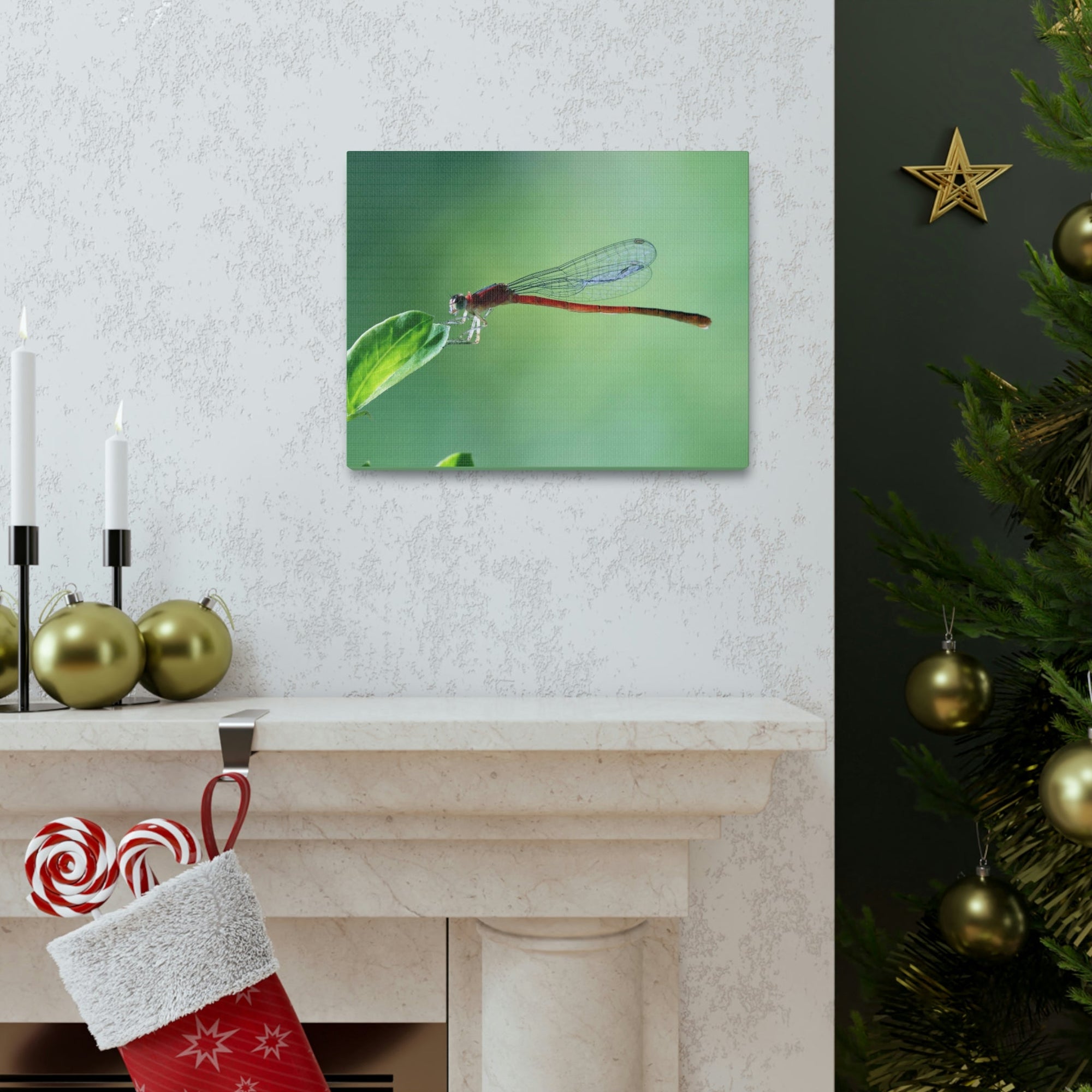 Scripture Walls Majestic Damselfly Perched on a Green Leaf Art Print Animal Wall Art Wildlife Canvas Prints Wall Art Ready to Hang Unframed-Express Your Love Gifts